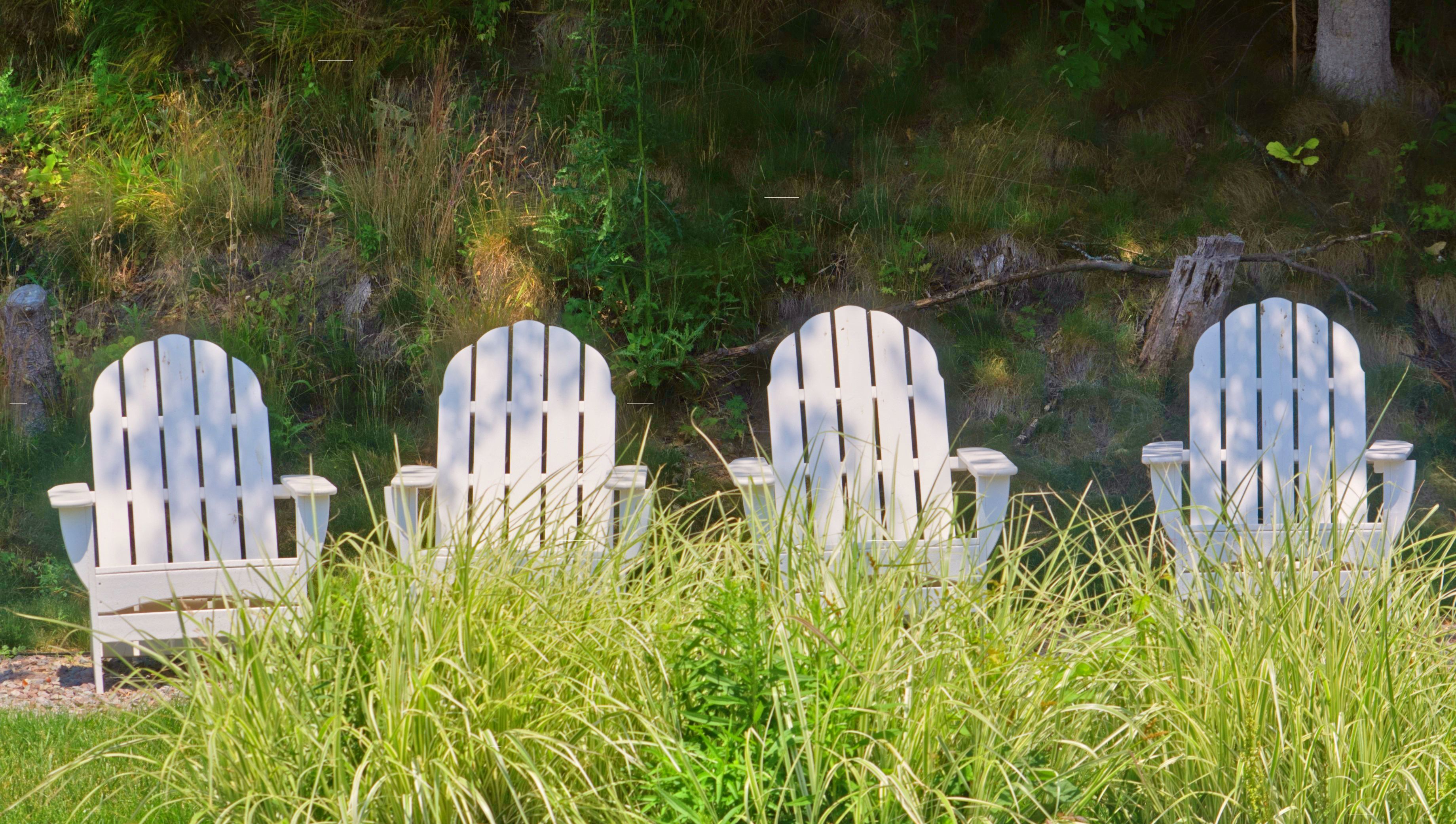 Four white Adirondack chairs in tall grass facing a shaded, wooded hillside