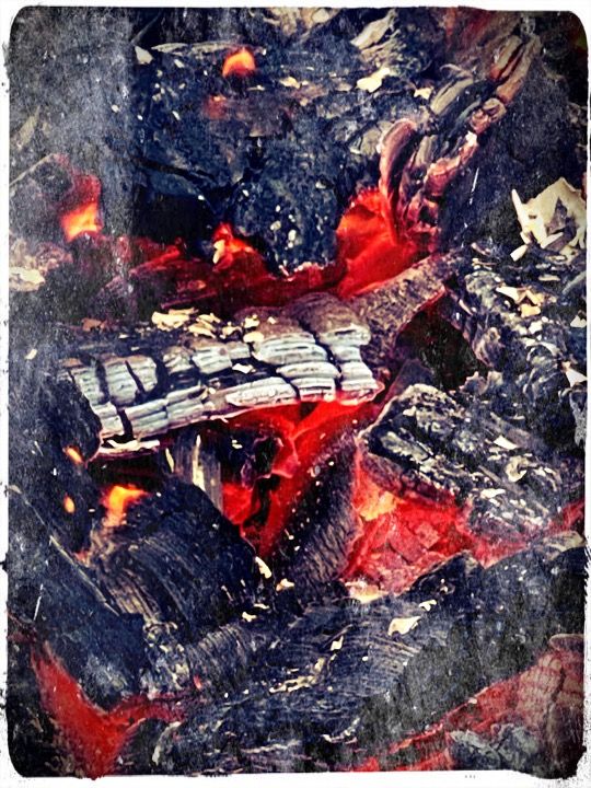 Glowing red embers and charred wood coals in a dying campfire