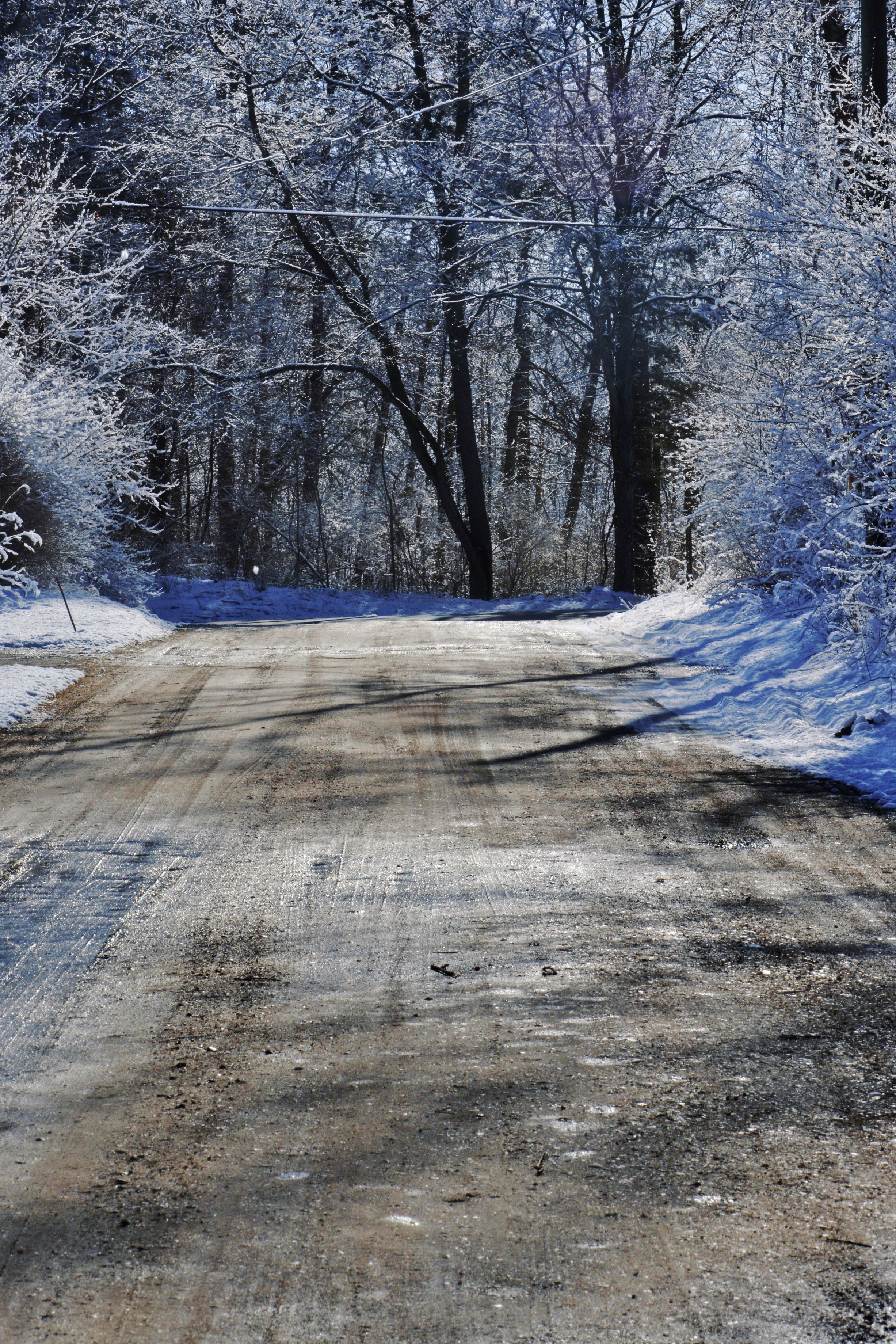A wet dirt road cuts through frost-coated trees under deep blue winter light