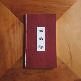 Descivilização: o Manifesto Dark Mountain