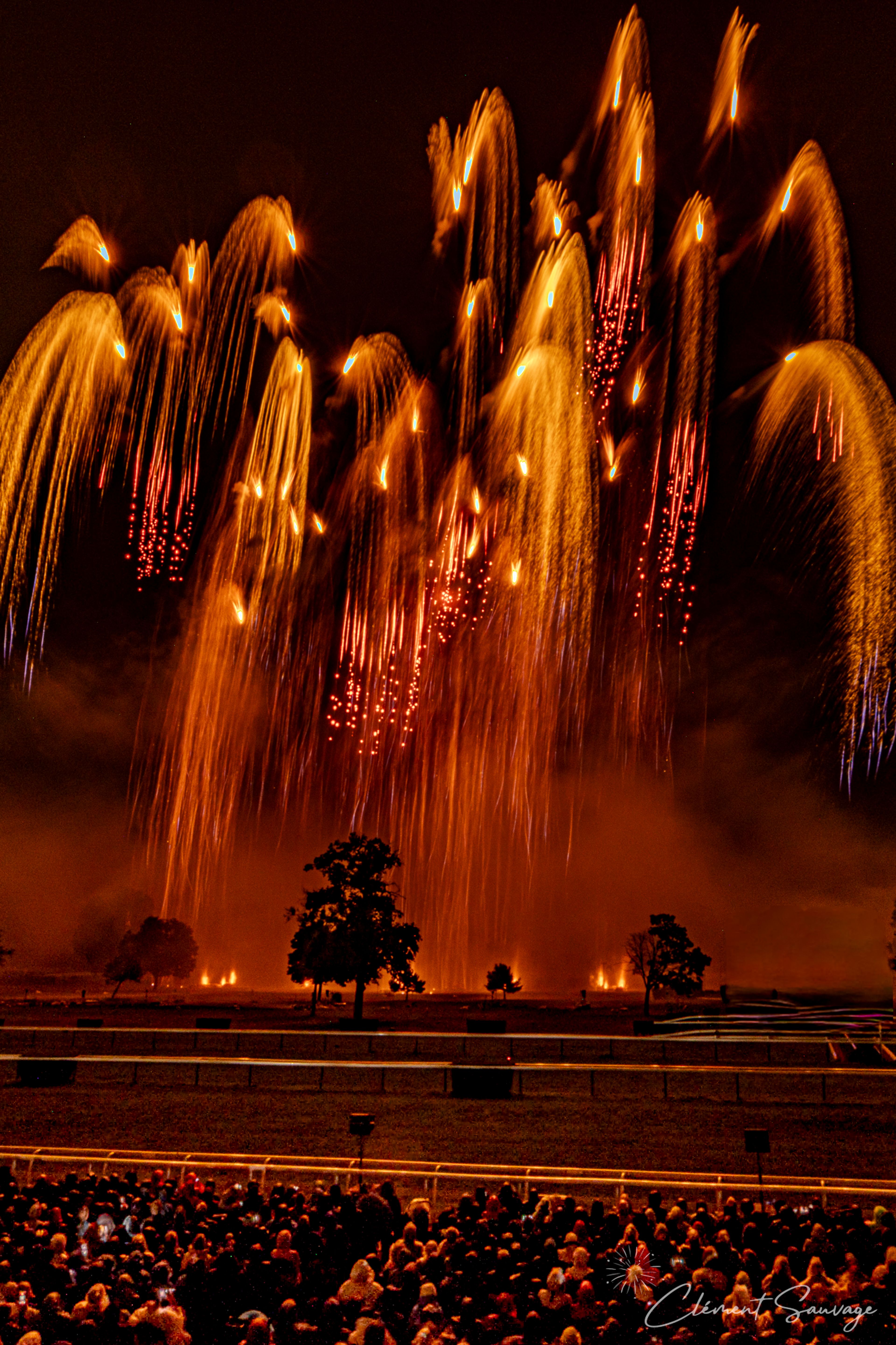 At the Masters de Feu 2025 in Compiègne, France, a vibrant fireworks display lights the night sky with cascading golden sparks against a dark backdrop, silhouetting trees and a large crowd gathered below along fenced viewing areas.