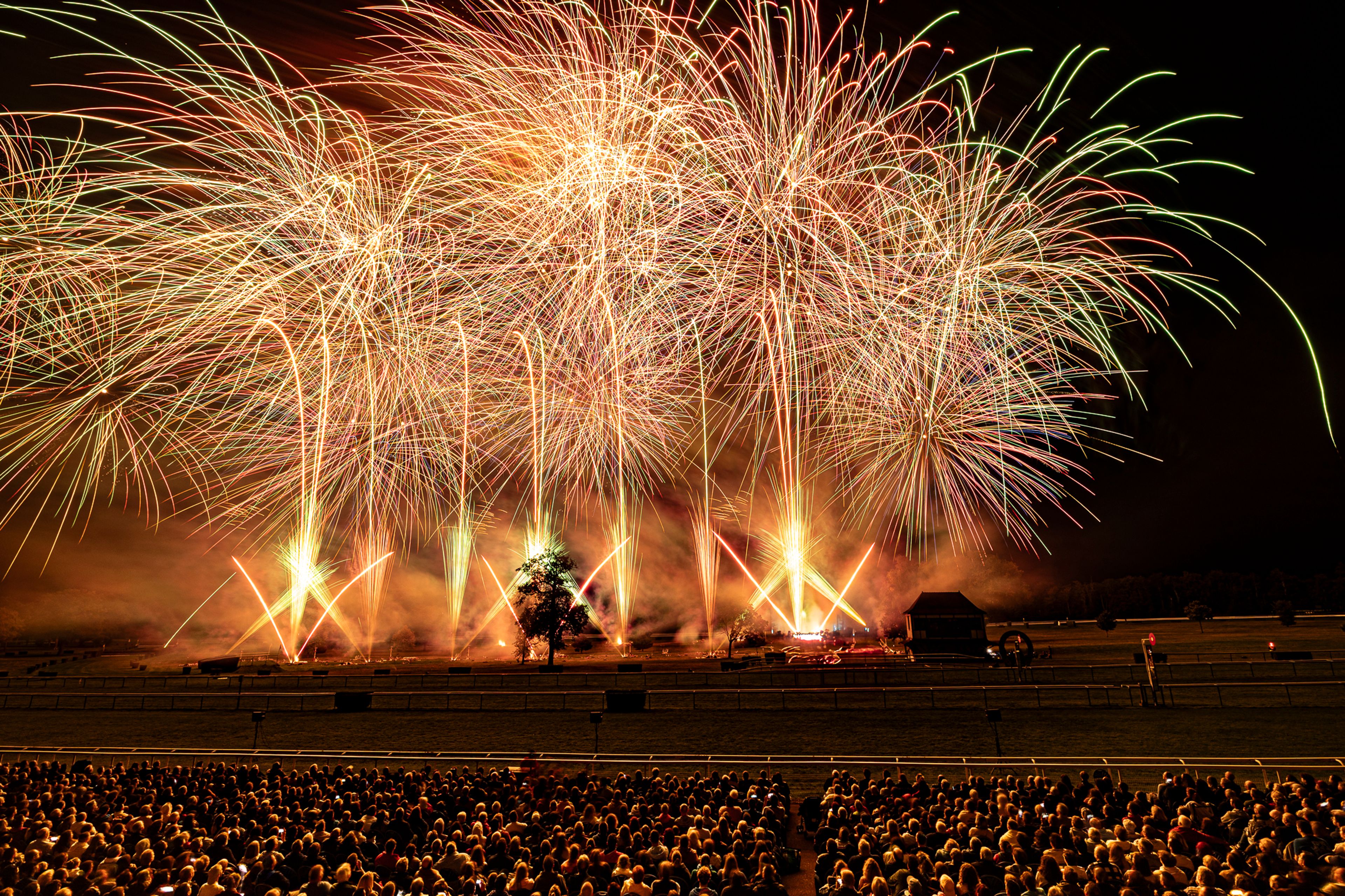 At the Masters de Feu 2024 in Compiègne, France, a large crowd watches a spectacular fireworks display with golden and green sparks bursting in the night sky above an open field, illuminated trees, and a small building in the background.