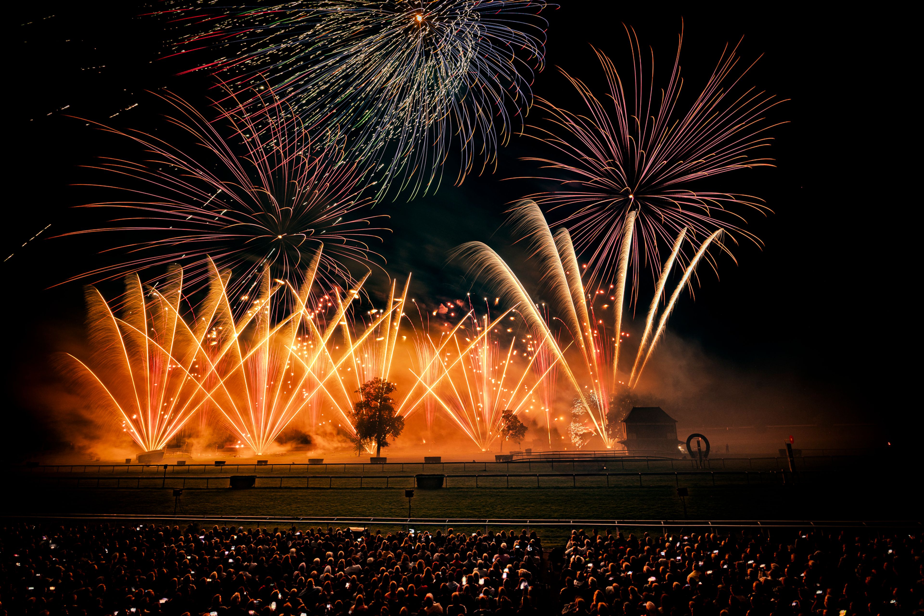 At Masters de Feu 2024 in Compiègne, France, a large crowd watches a nighttime fireworks display with golden, red, and white bursts illuminating the dark sky above a field with silhouetted trees and a small building amid smoke.