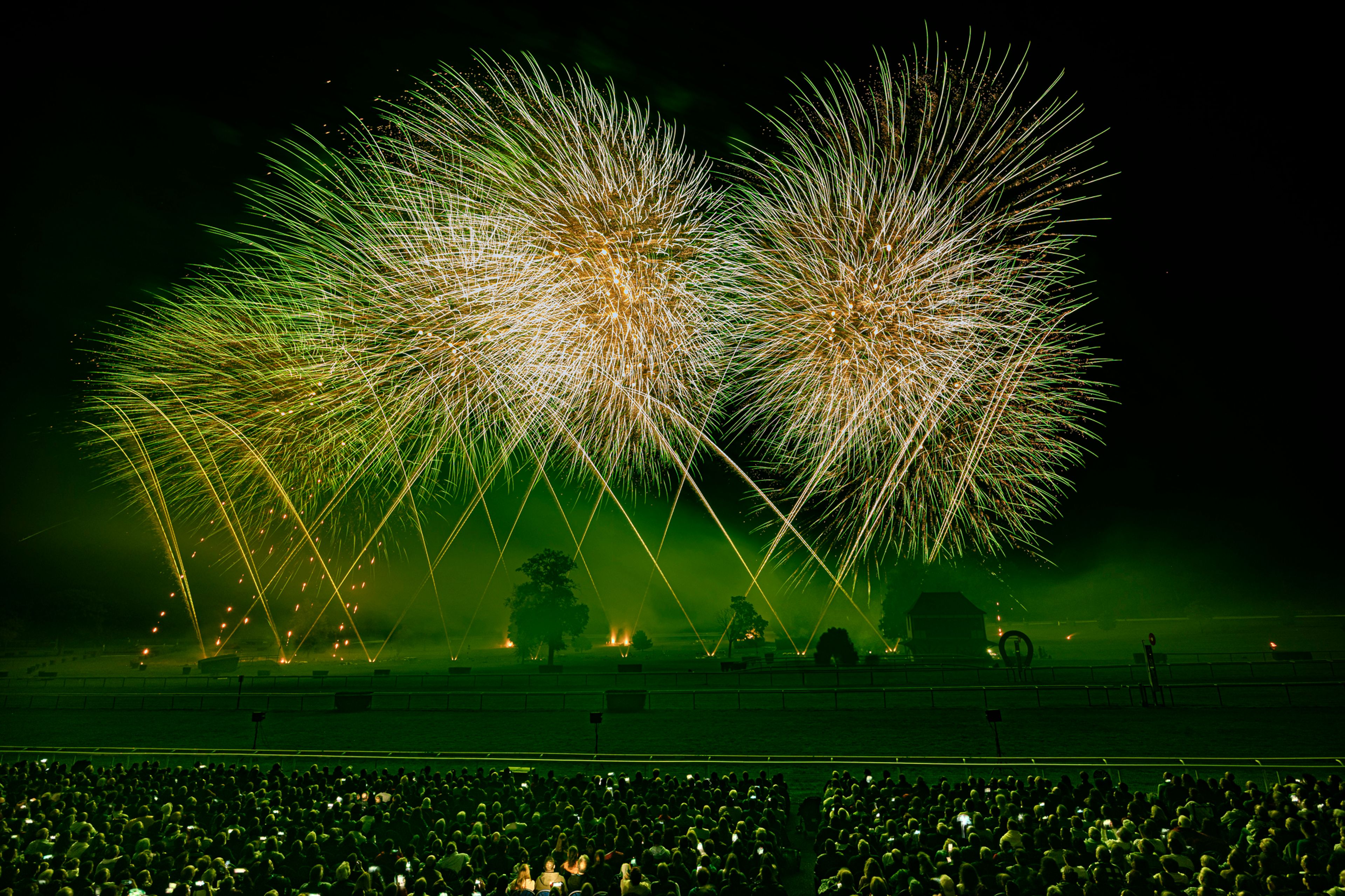 At the Masters de Feu 2024 fireworks event in Compiègne, France, green and gold fireworks explode in large, round bursts over a crowd seated in front of a dark field with trees and a small building, under a night sky.