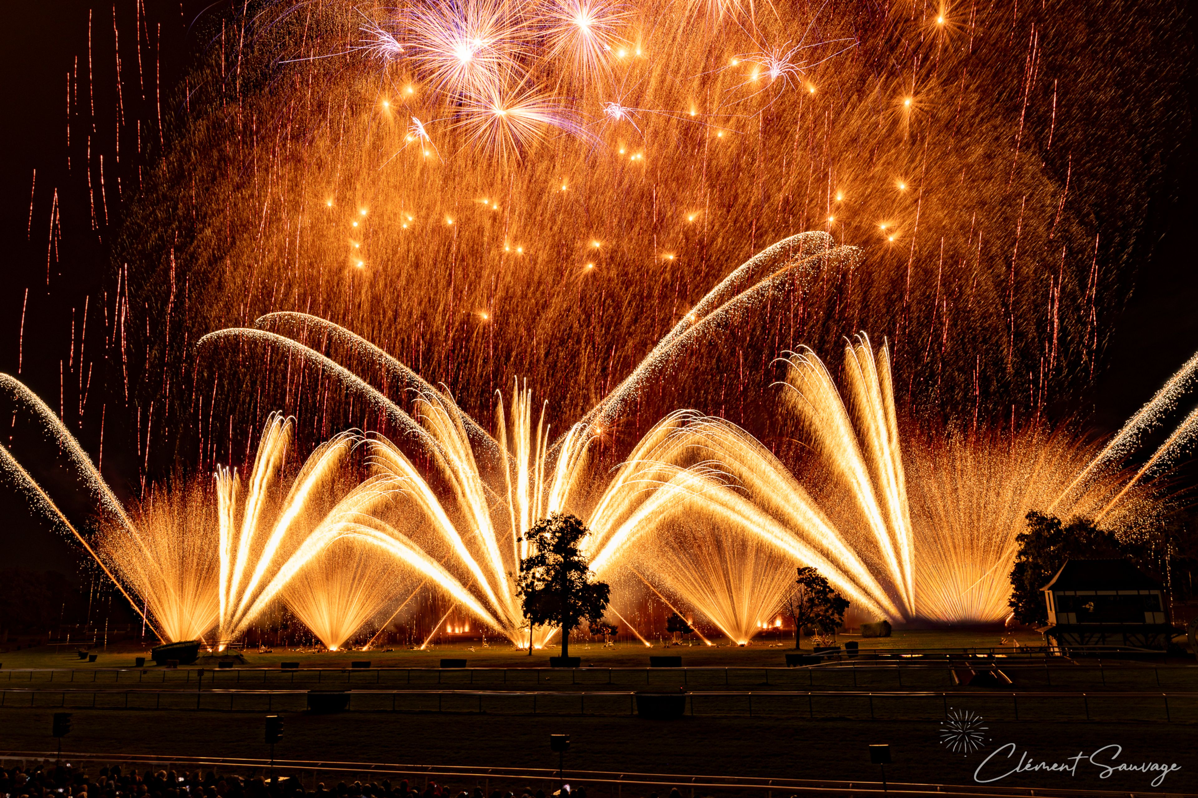 Bright golden fireworks fan out in symmetrical arcs against a dark sky over a field with scattered trees, with some purple starbursts above, during the Masters de Feu 2025 event in Compiègne, France.