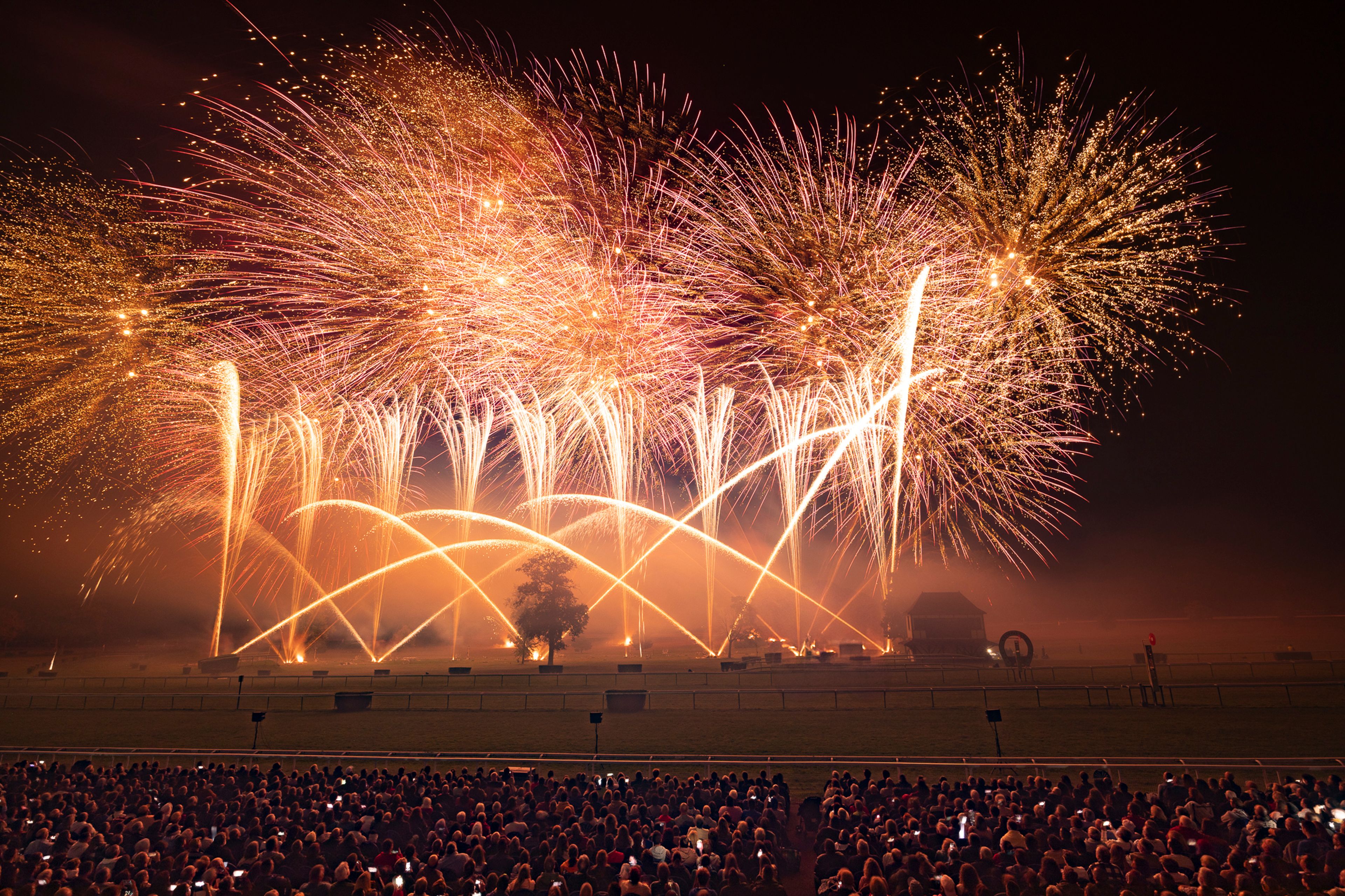 A large crowd watches an expansive fireworks display with orange and gold bursts and arcs illuminating the night sky over an open field featuring a solitary tree and small structures during the Masters de Feu 2024 event in Compiègne, France.
