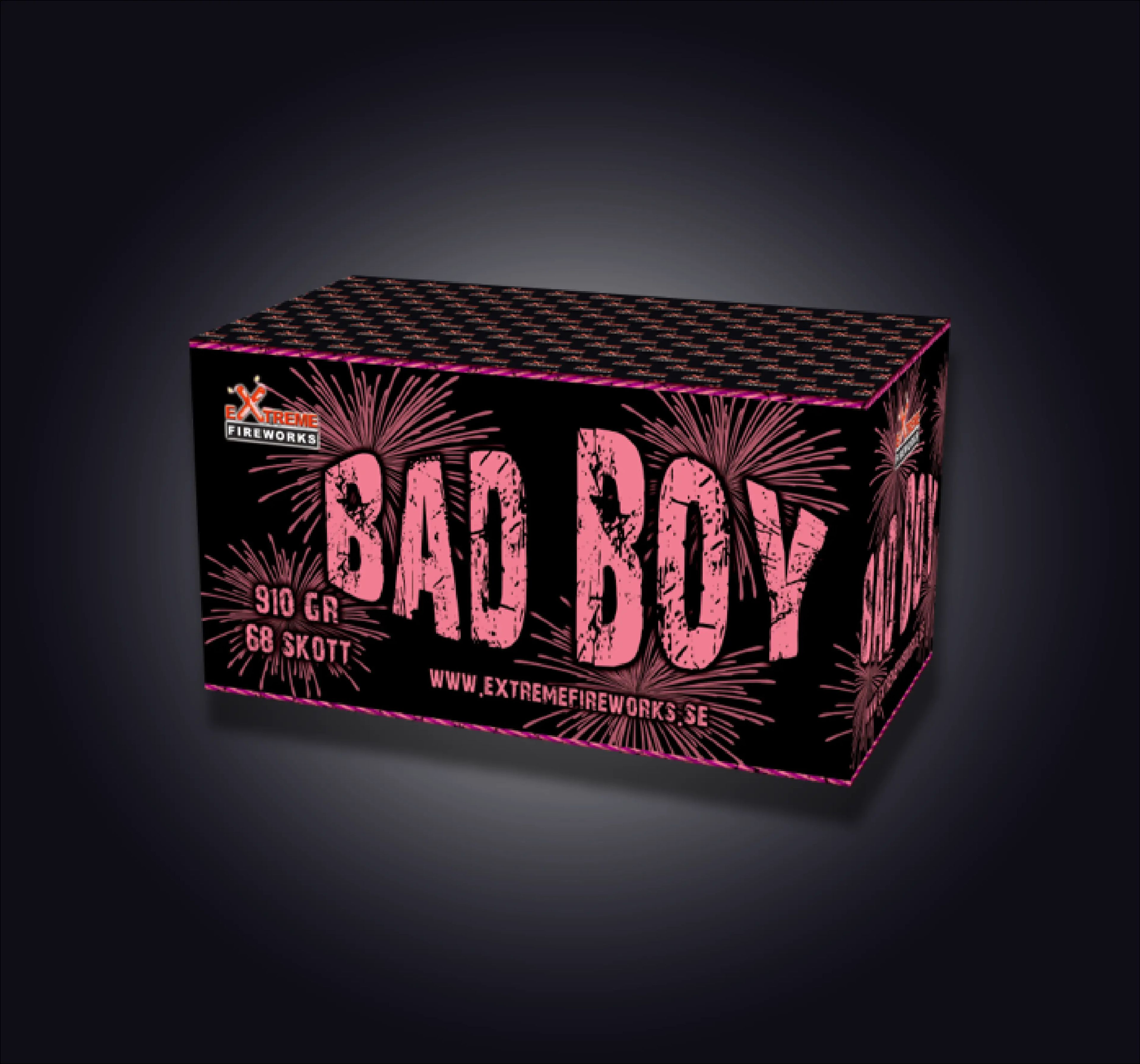 Bad Boy