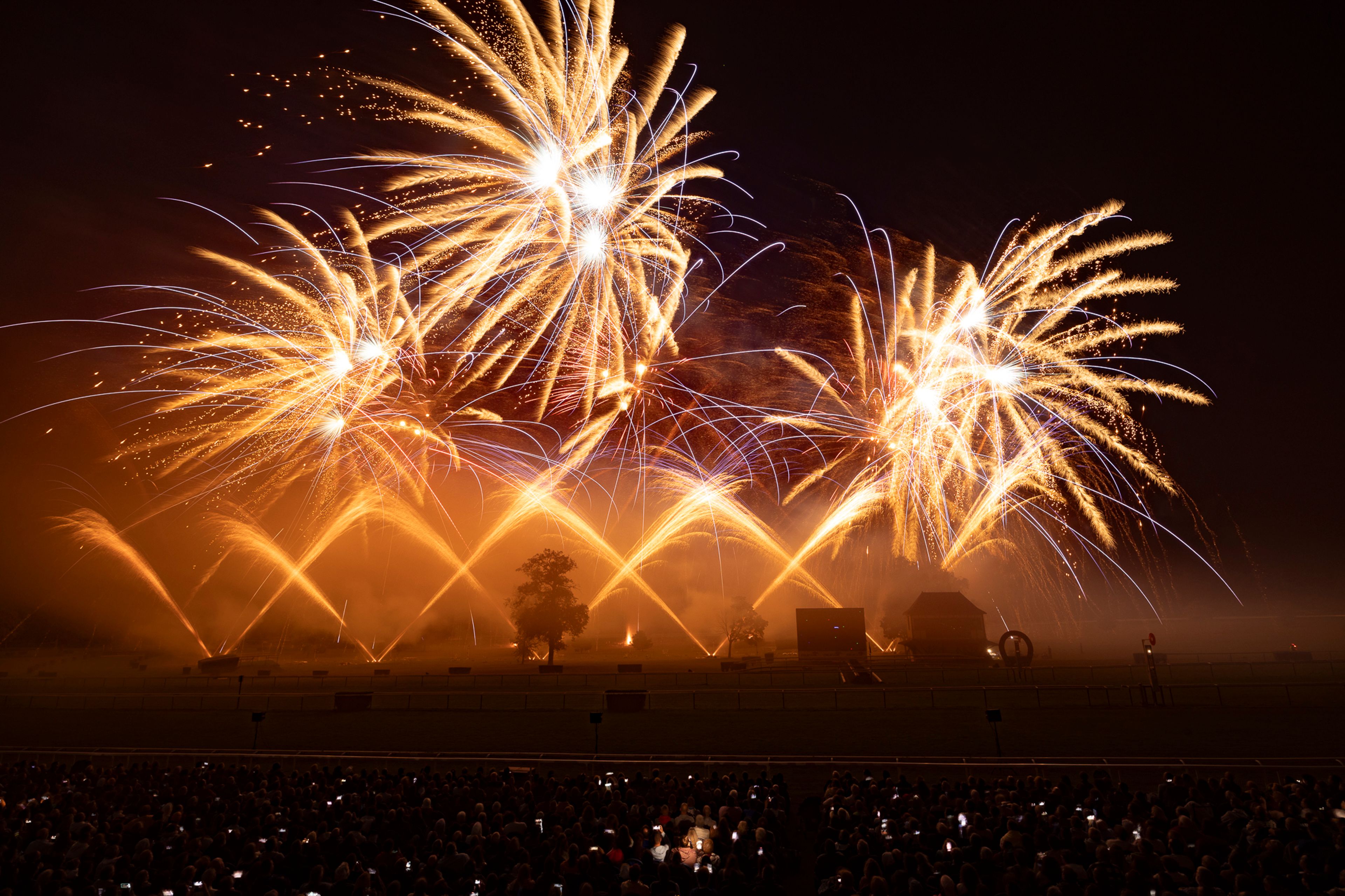 Bright golden and blue fireworks burst and arch over a field with silhouetted trees and structures at the Masters de Feu 2024 event in Compiègne, France, while a large audience watches in the foreground at night.