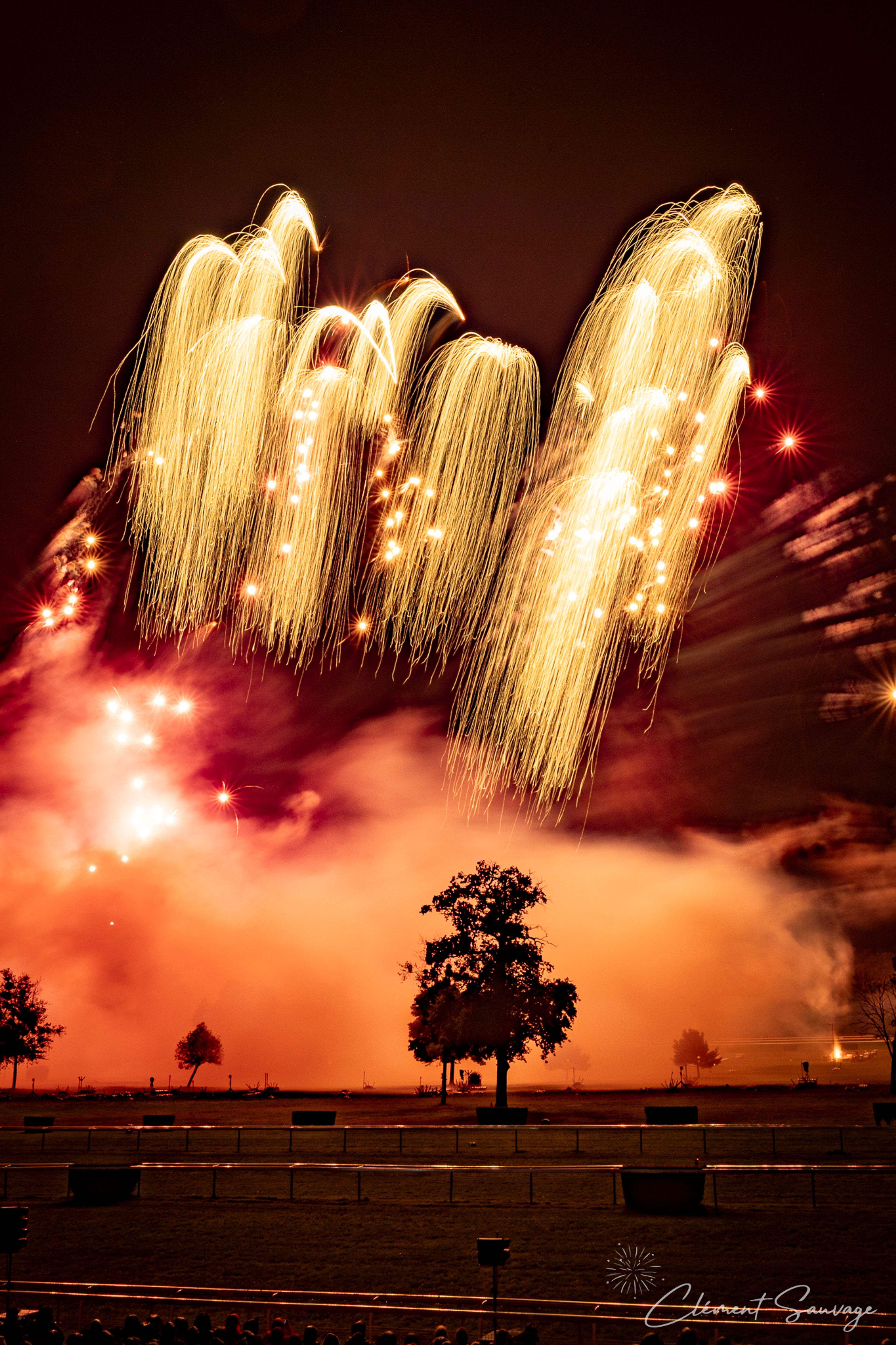 Golden cascading fireworks illuminate the night sky above smoky ground with silhouetted trees and a distant crowd at the Masters de Feu 2025 event in Compiègne, France.