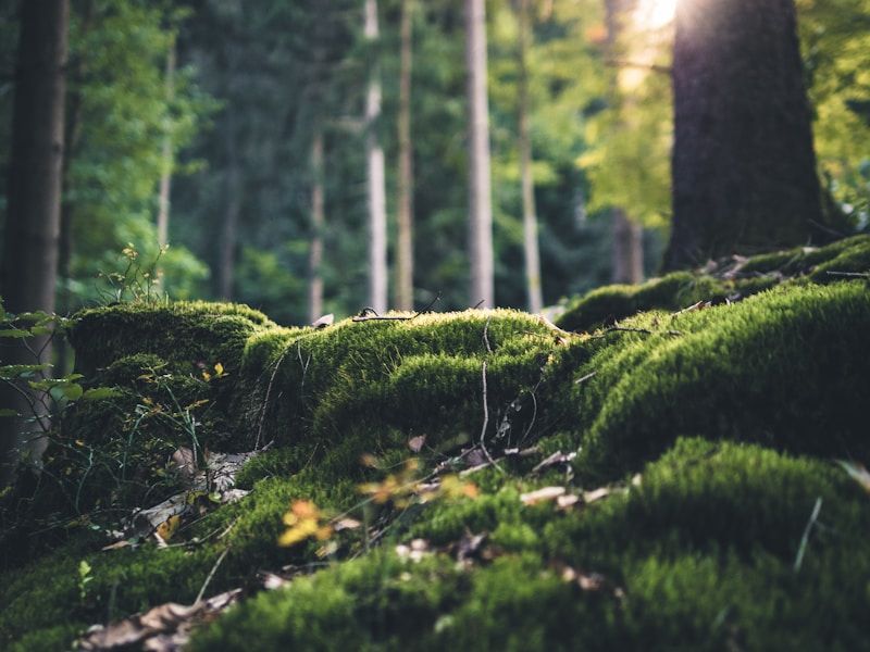 Wayfinding & Directional Signage gallery 3