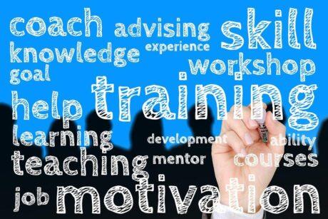 New DVPP courses!