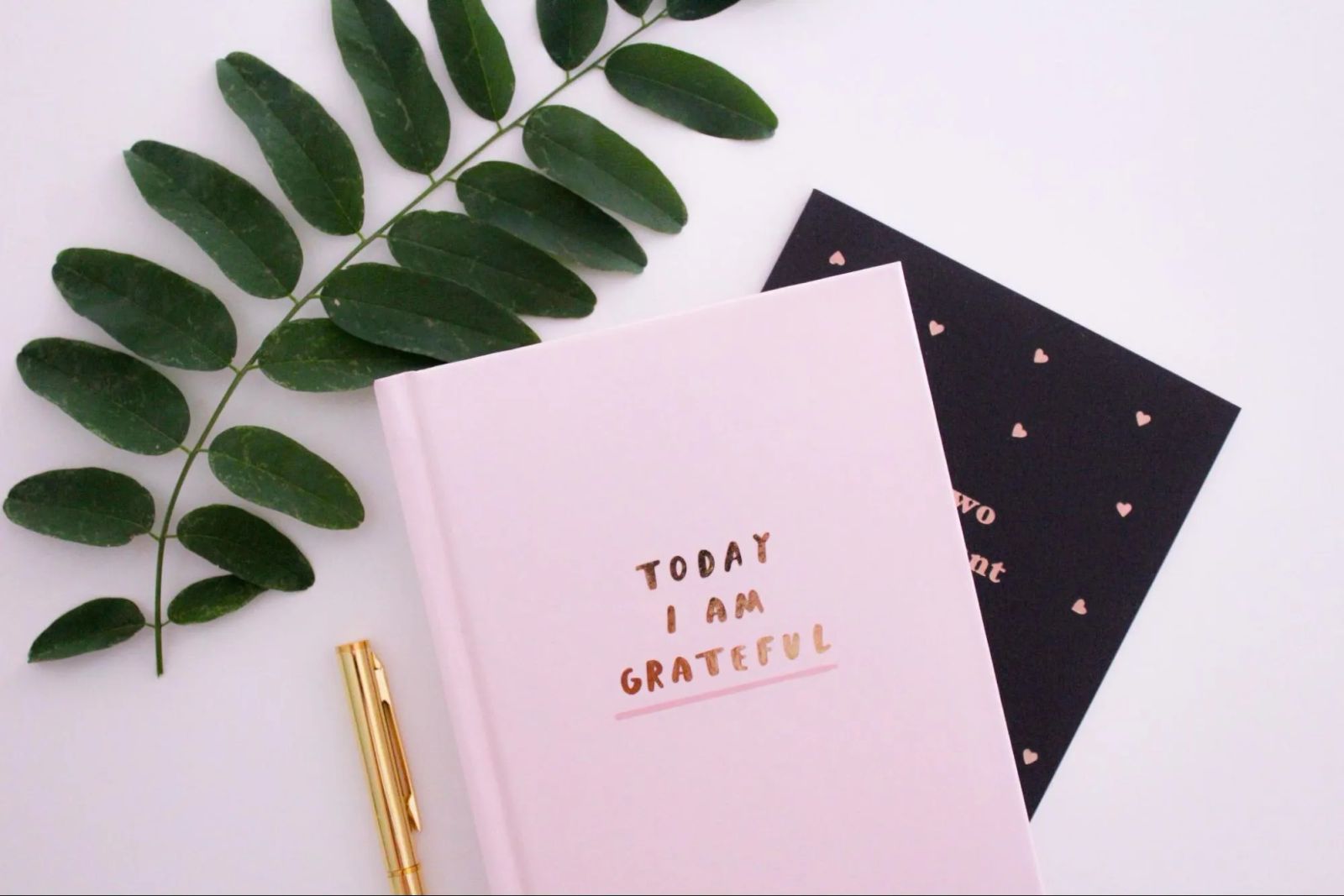 Who Is the Best Print-on-Demand Journal Provider?