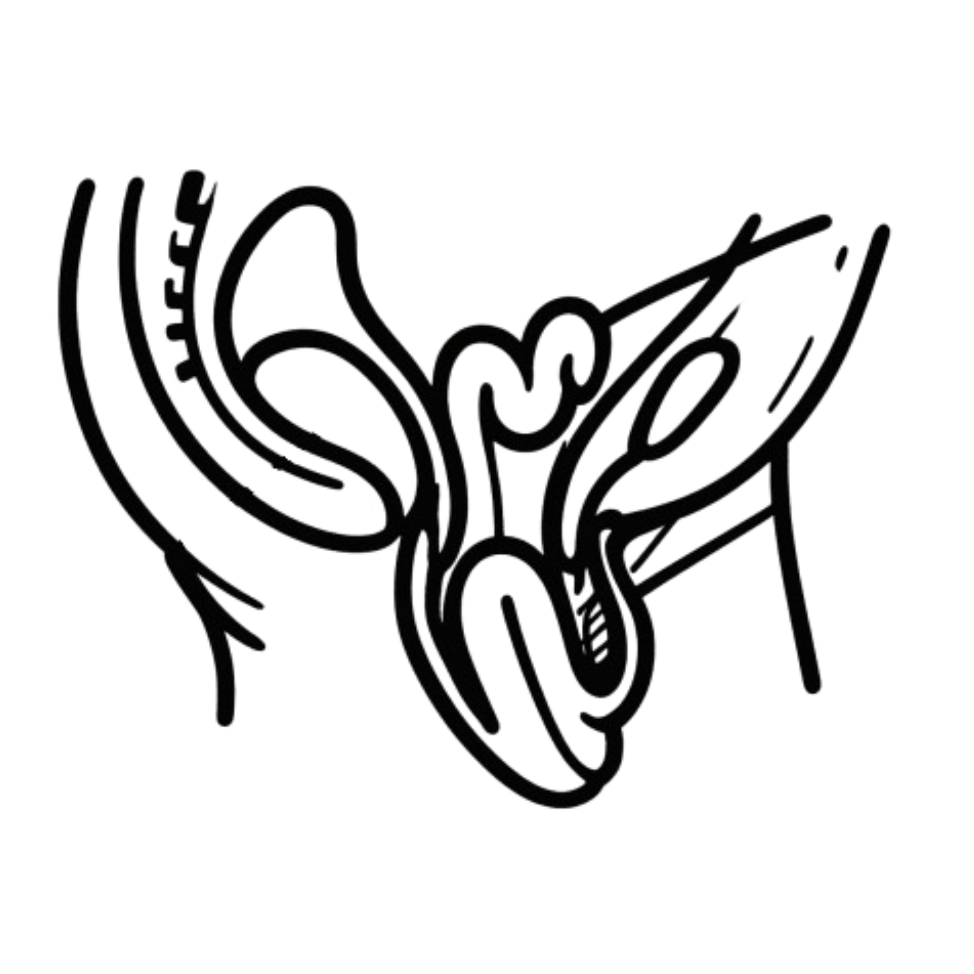 Uterine Prolapse