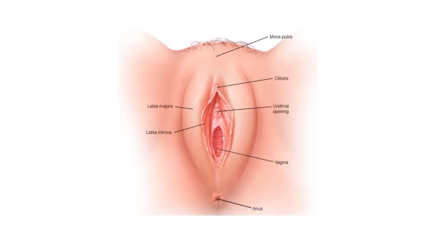 Vulvodynia pain management by Dr. Ashwani Narla in Hyderabad