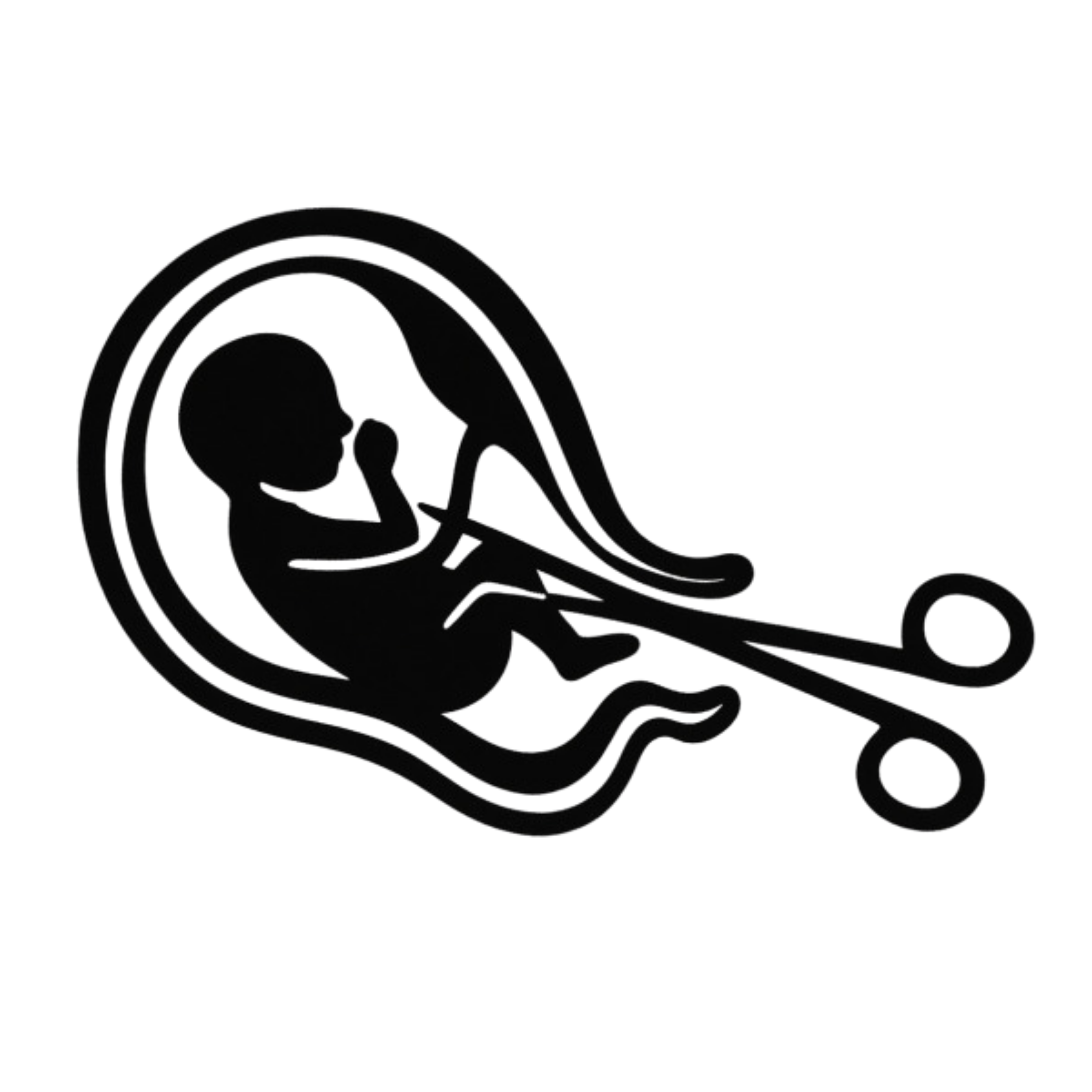 Medical Termination of Pregnancy