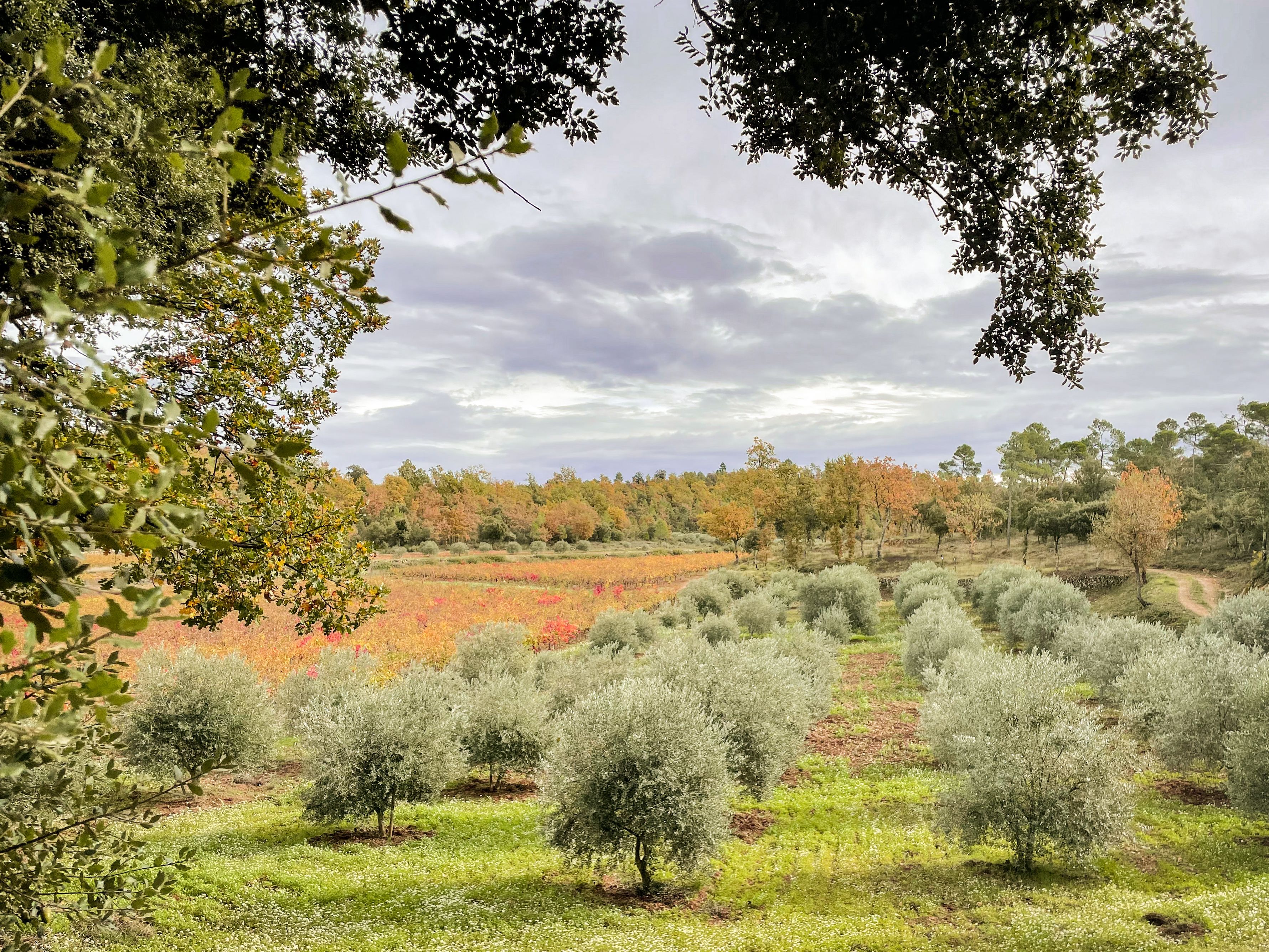 Mira Luna estate in Provence