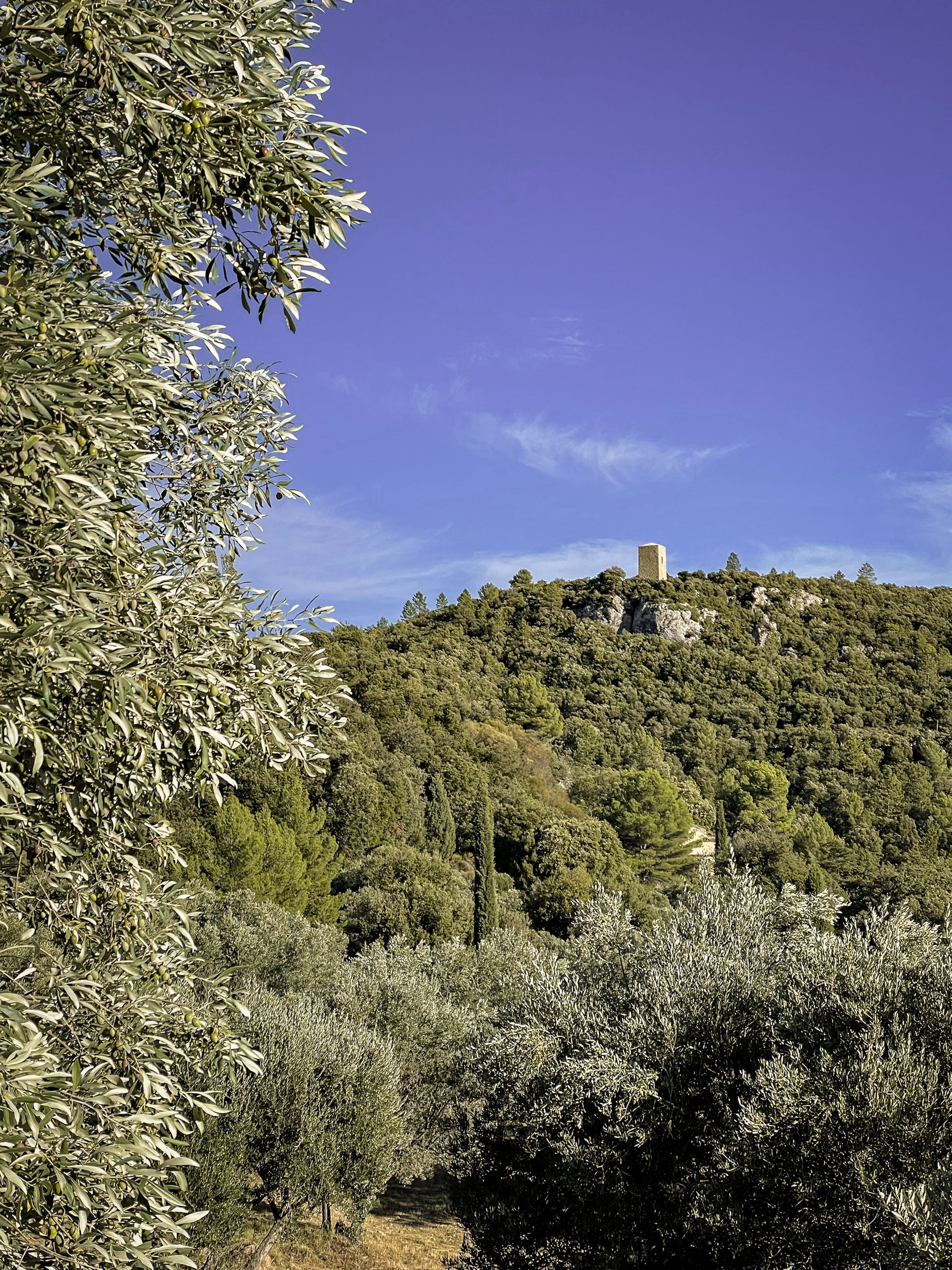 Domaine de la Baume in Provence