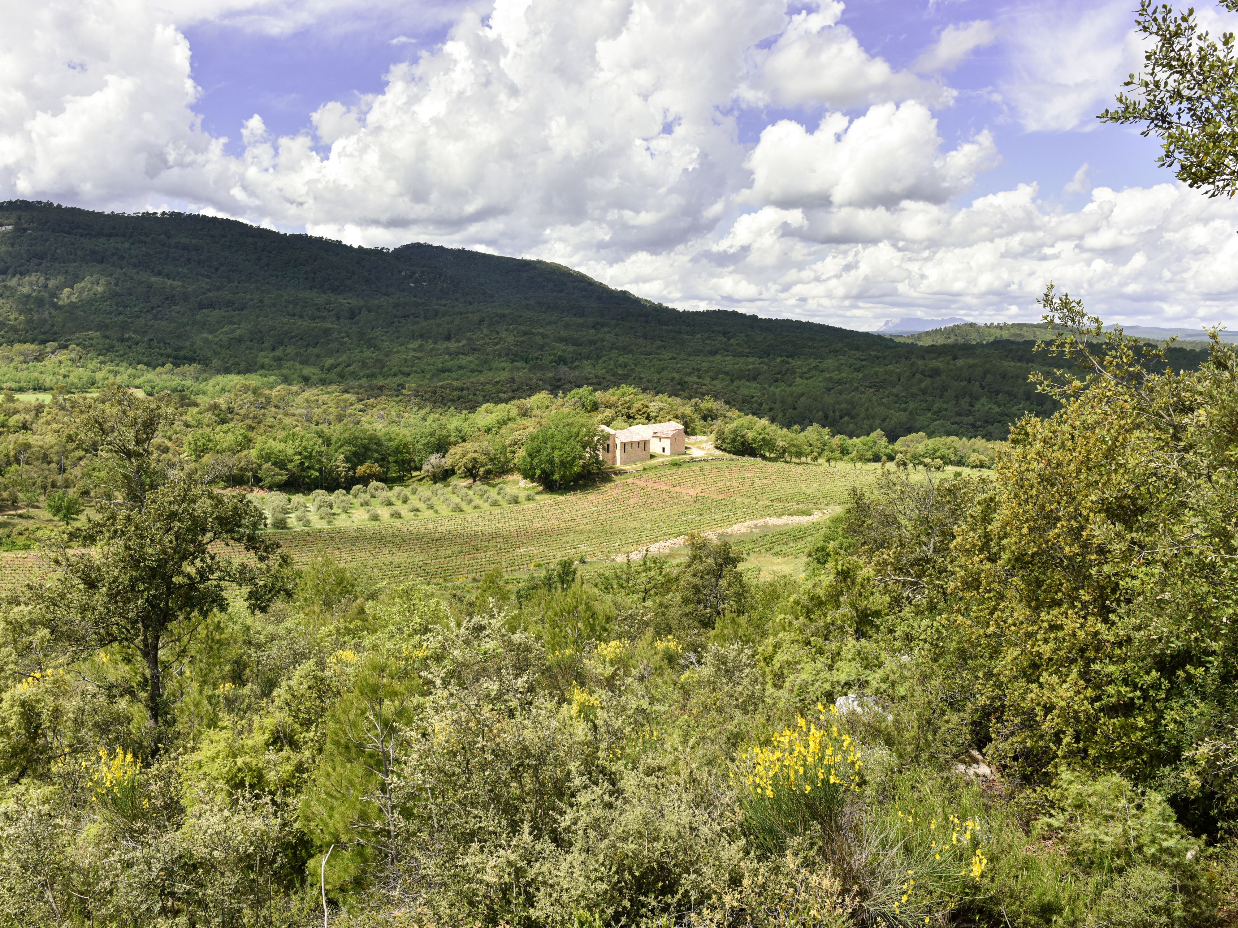 Domaine Mira Luna en Provence