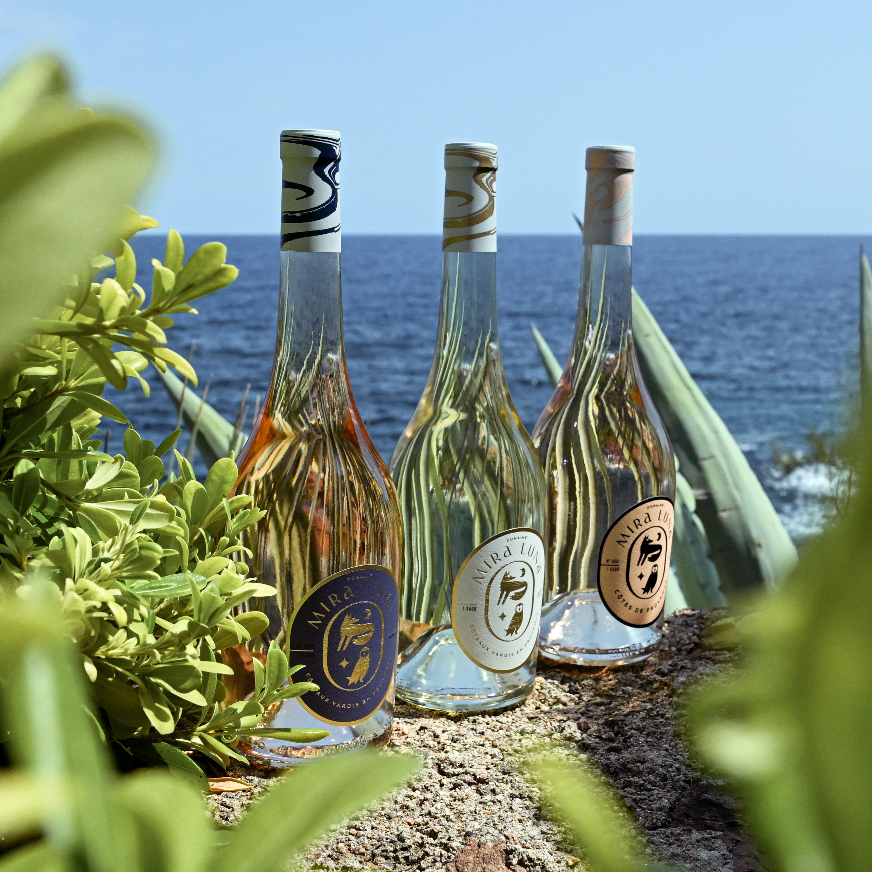 Trio de Vins de Provence BIO Mira Luna