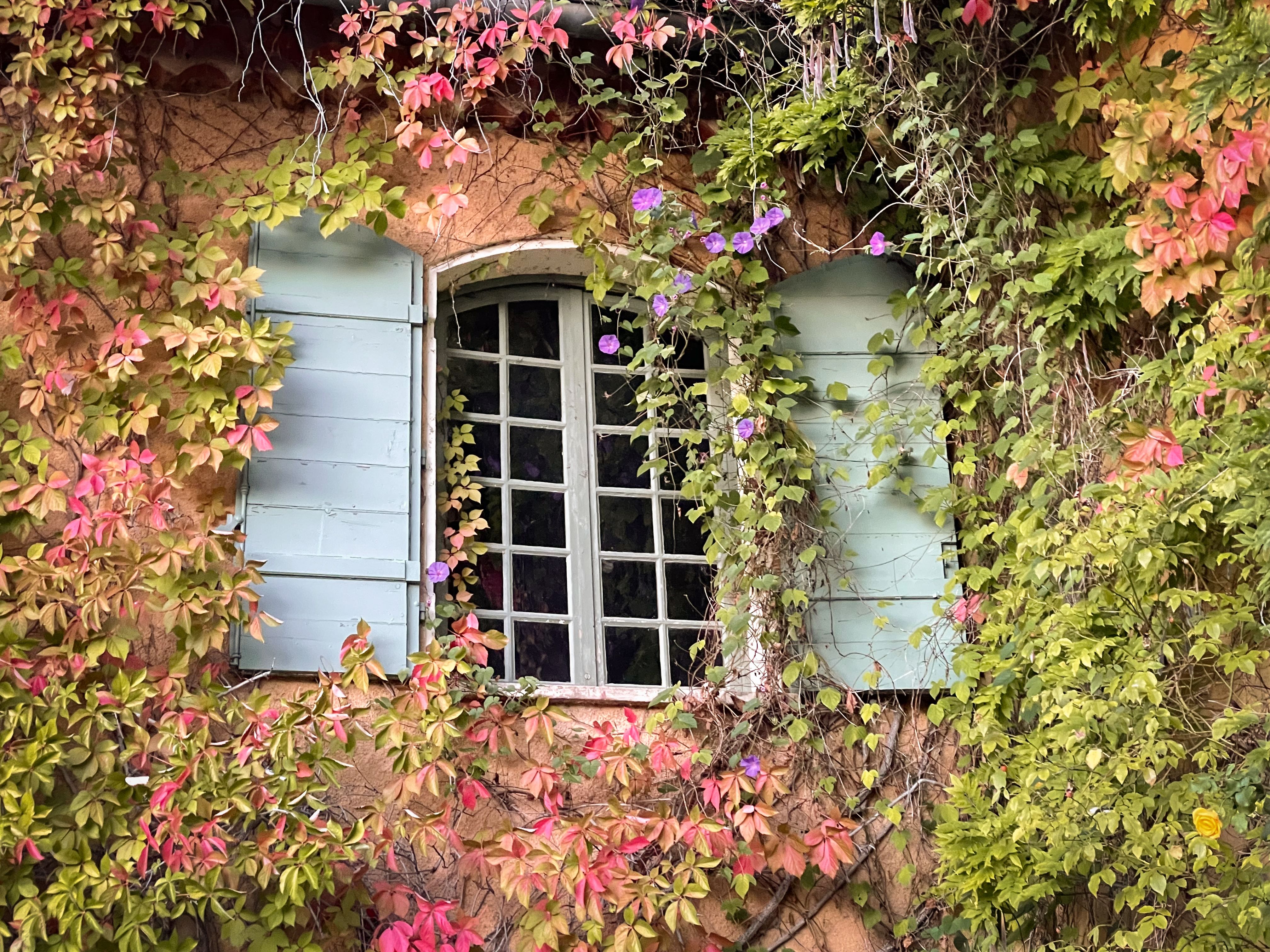 Domaine de la Baume à Tourtour en Provence