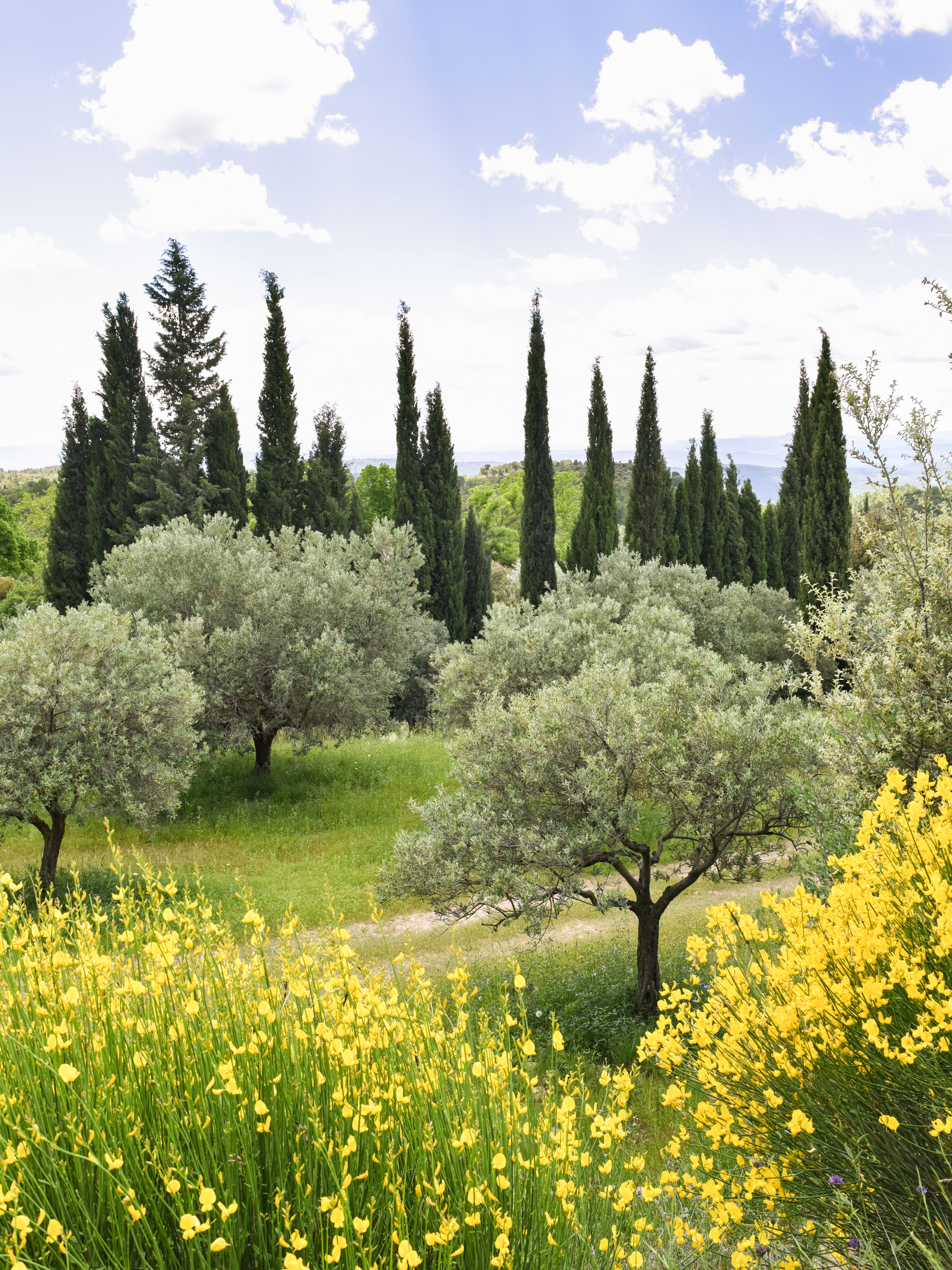 Domaine-de-la-baume