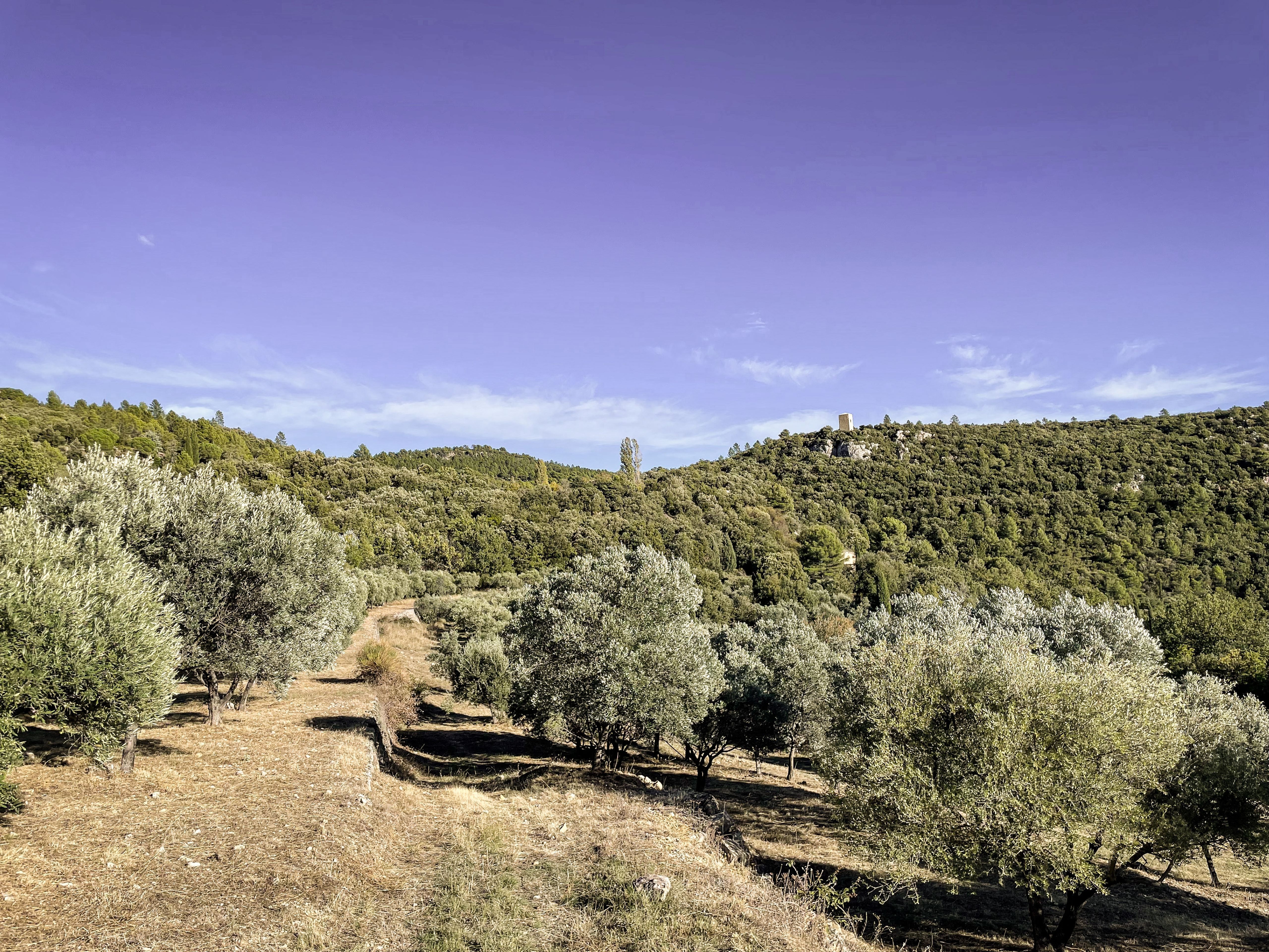 Domaine de la Baume à Tourtour en Provence