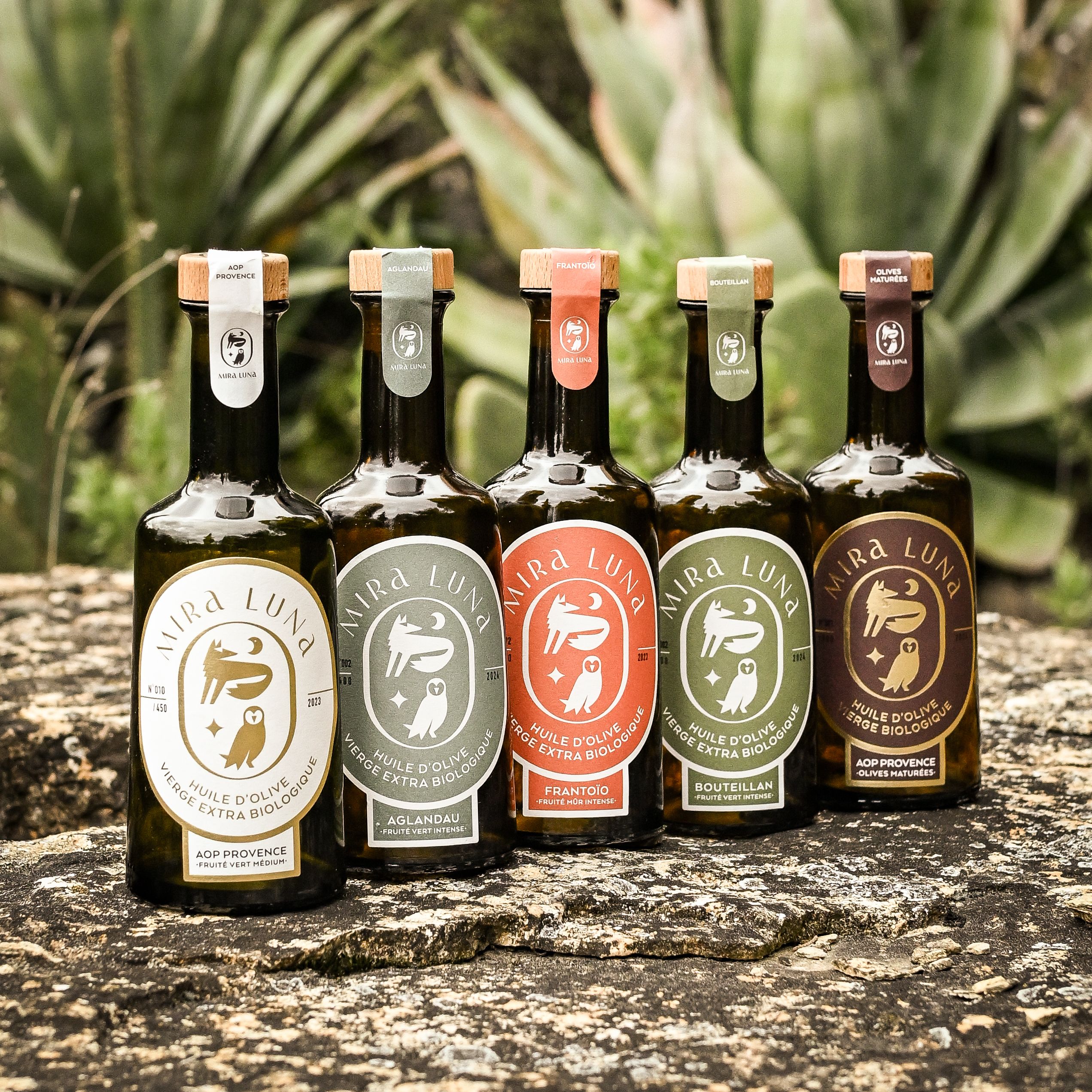 La petite Collection des 5 huiles d'olive Mira Luna