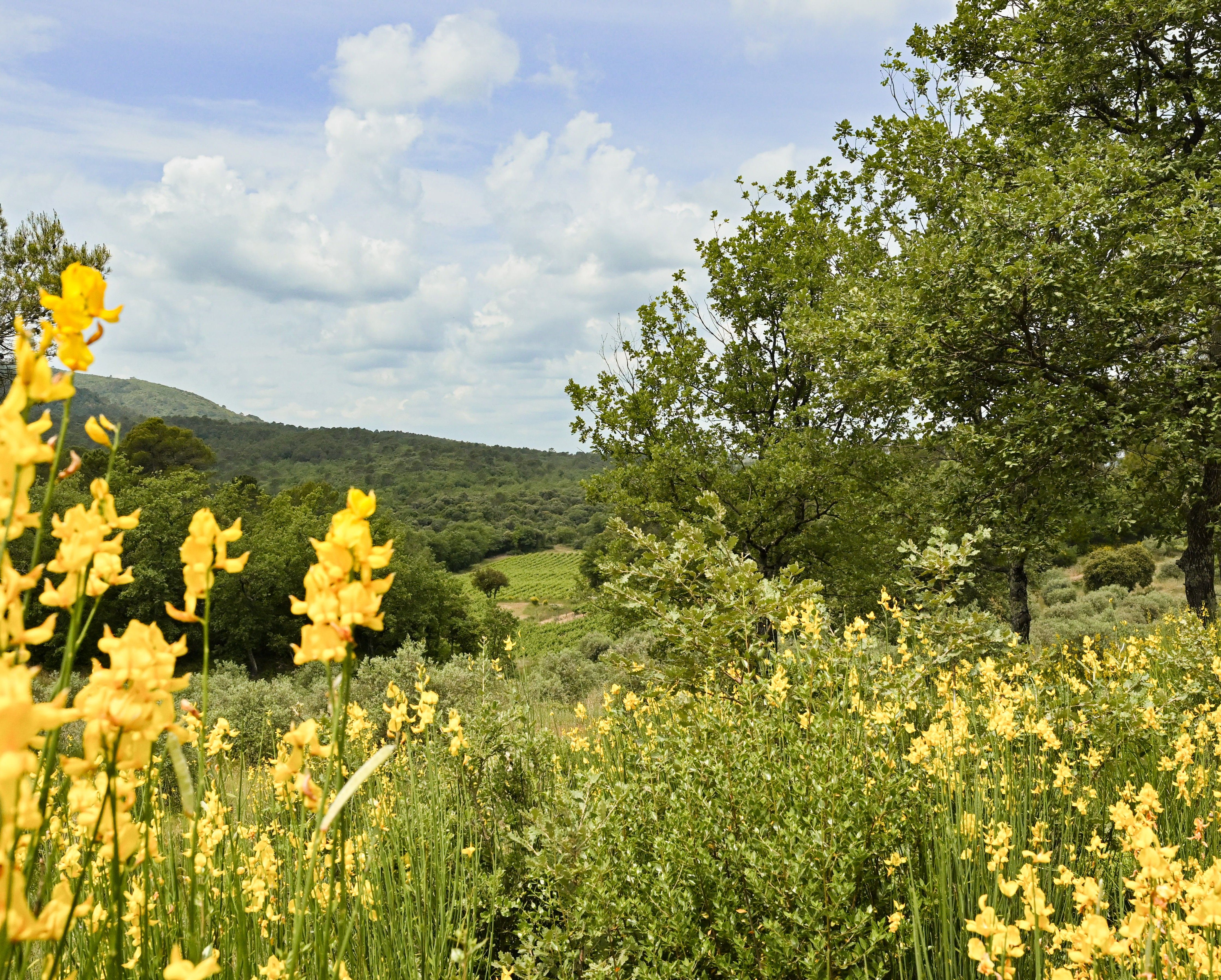 Domaine Mira Luna en Provence