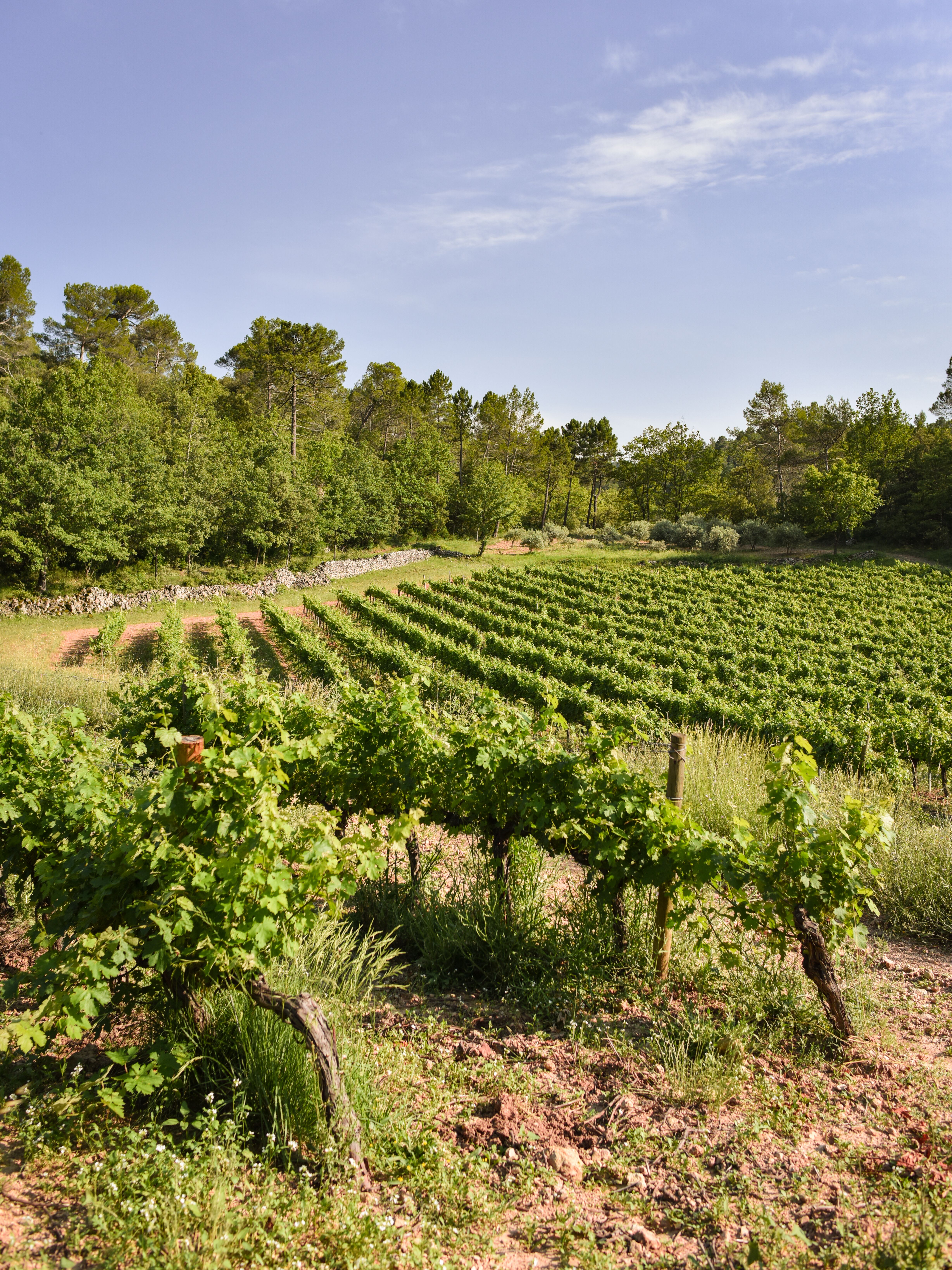 Mira Luna Estate in Provence