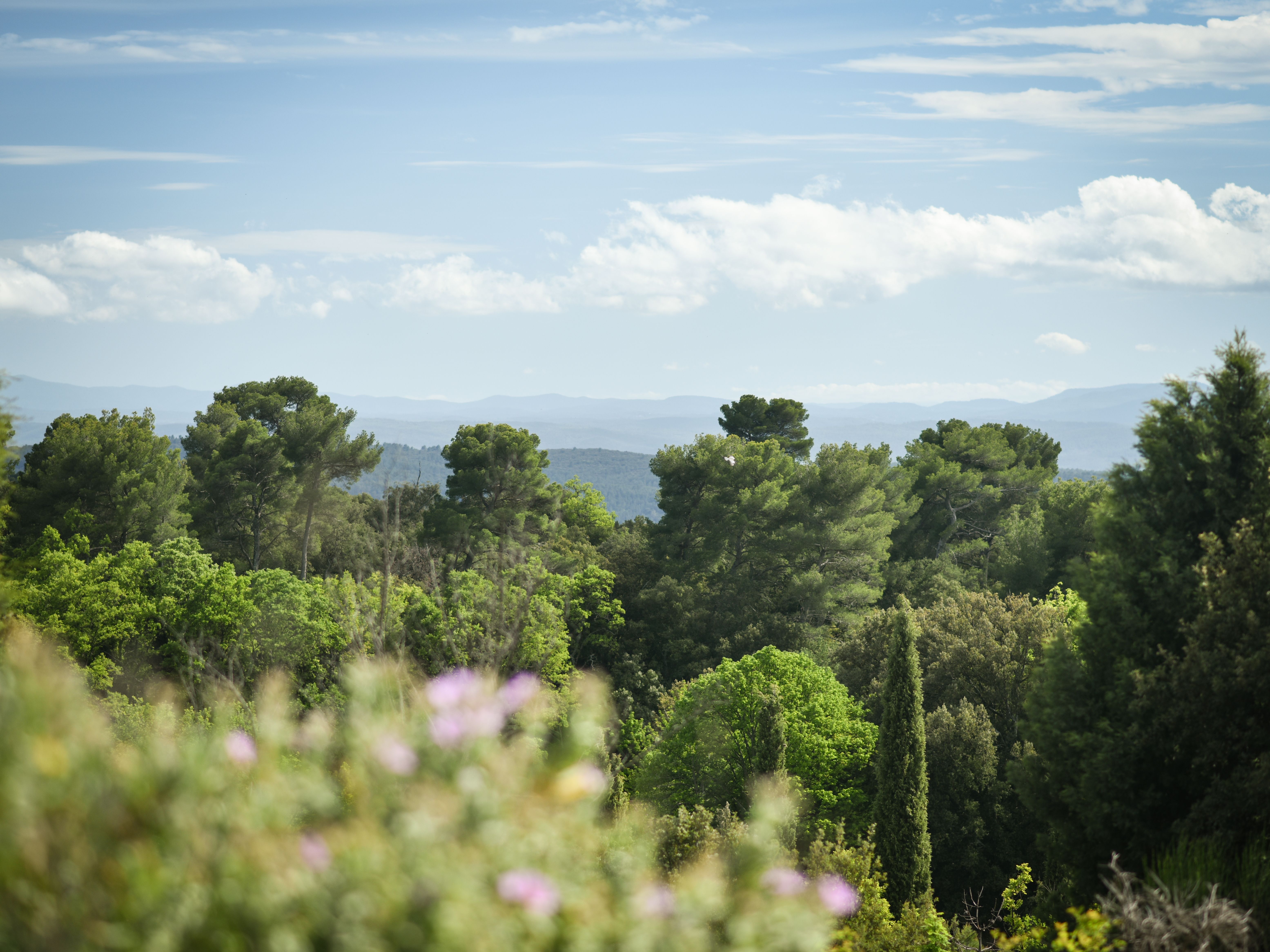 Domaine de la Baume à Tourtour en Provence