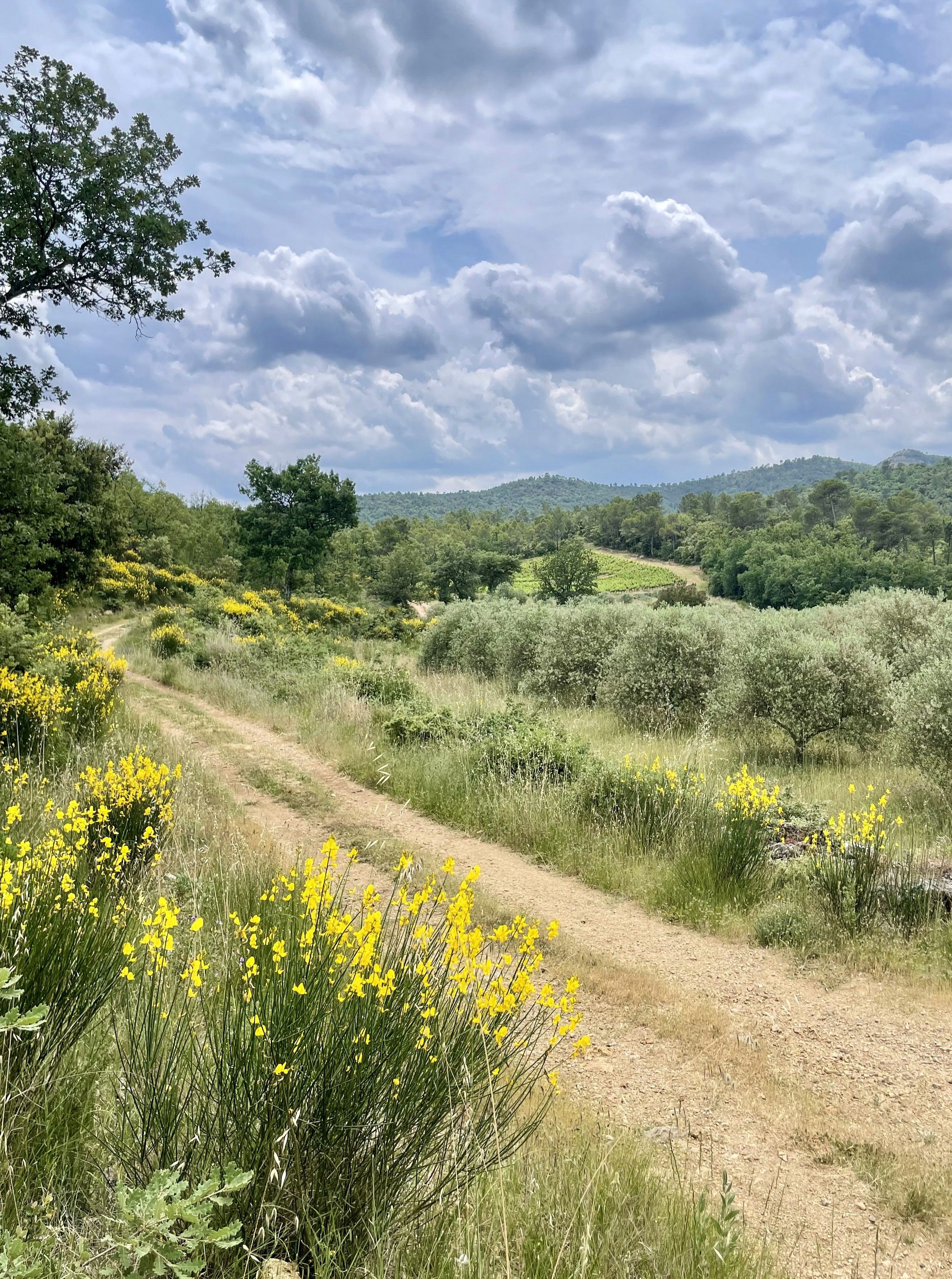 Domaine Mira Luna