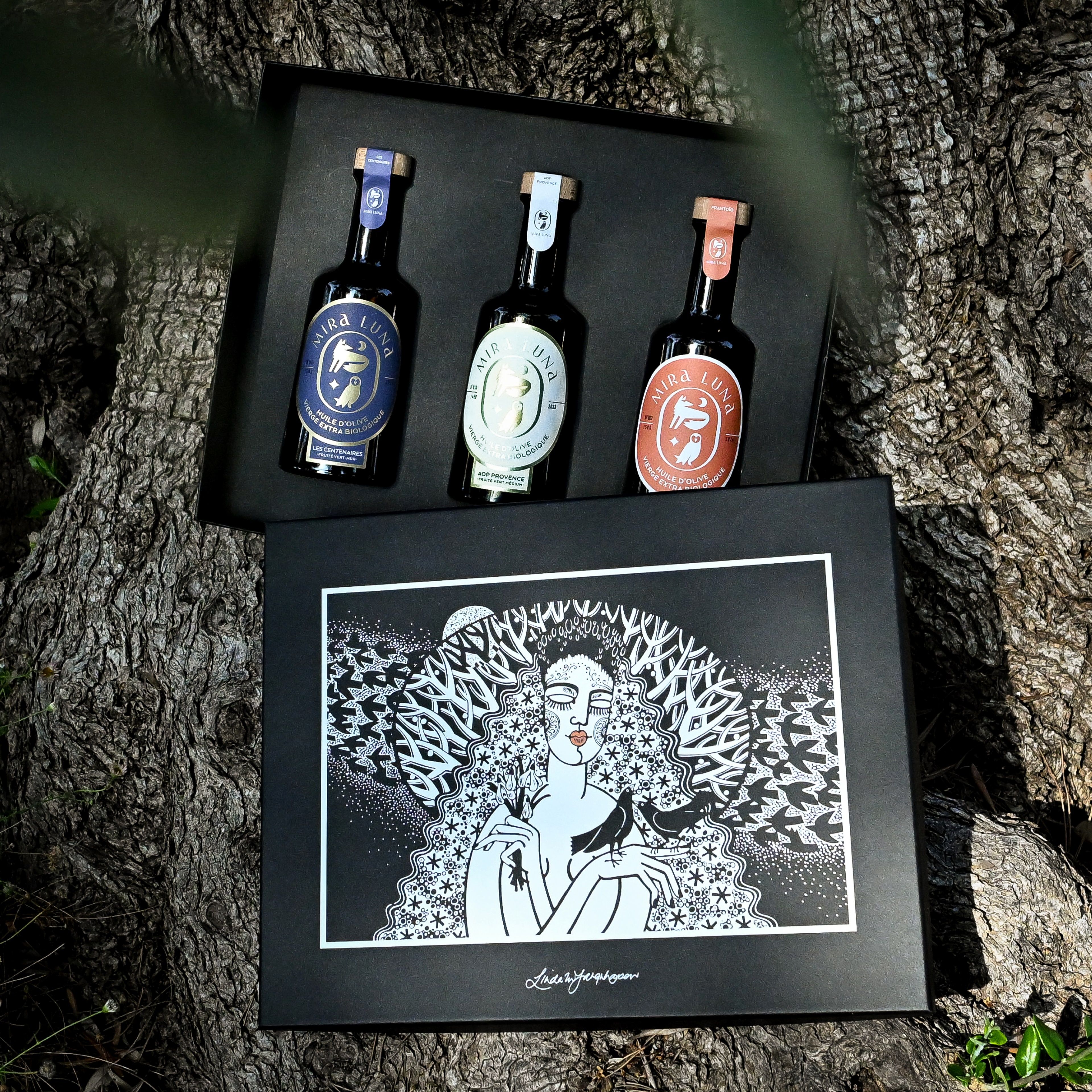 Coffret d'huiles d'olive BIO de France