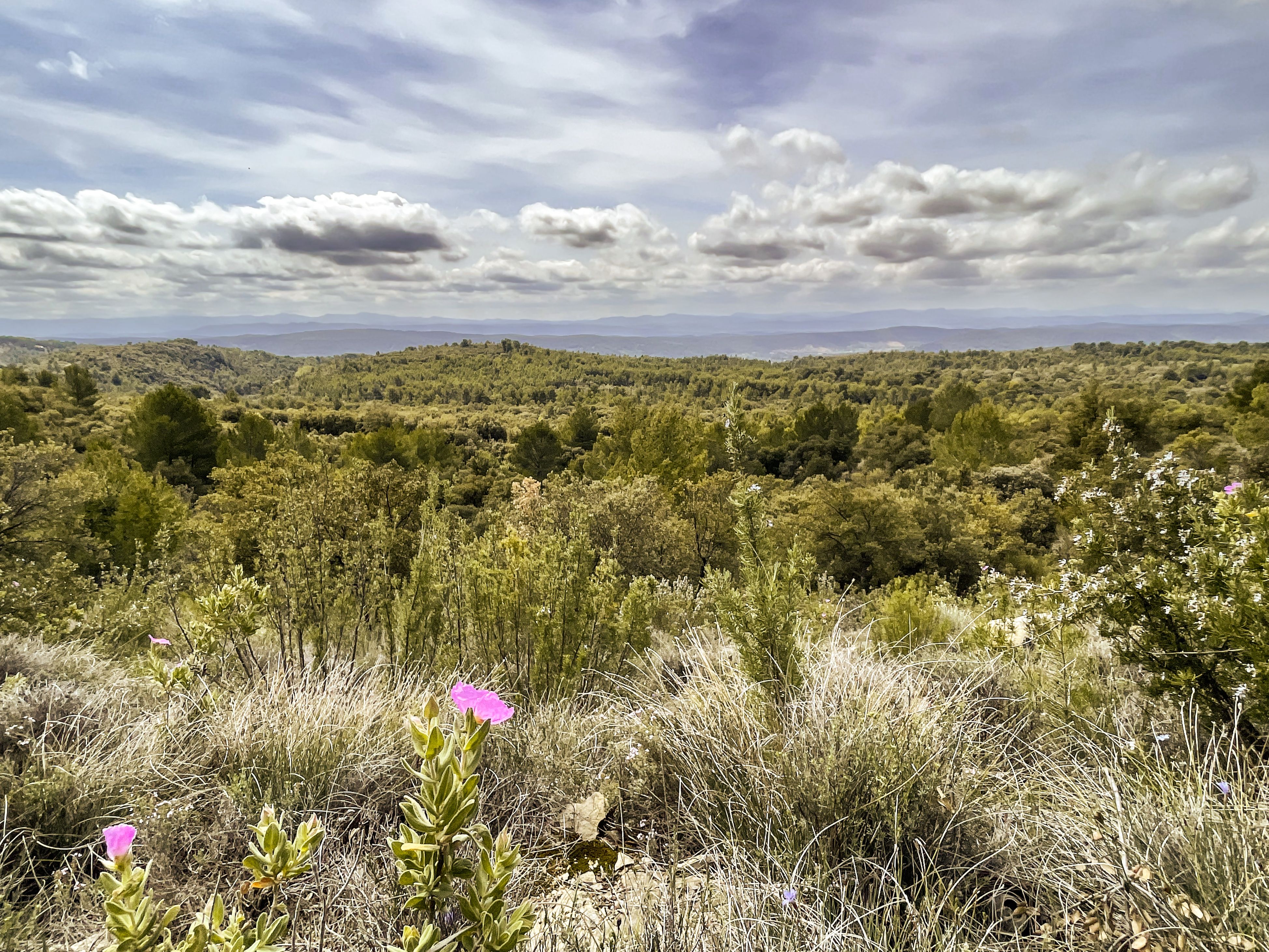 Domaine de la Baume à Tourtour en Provence