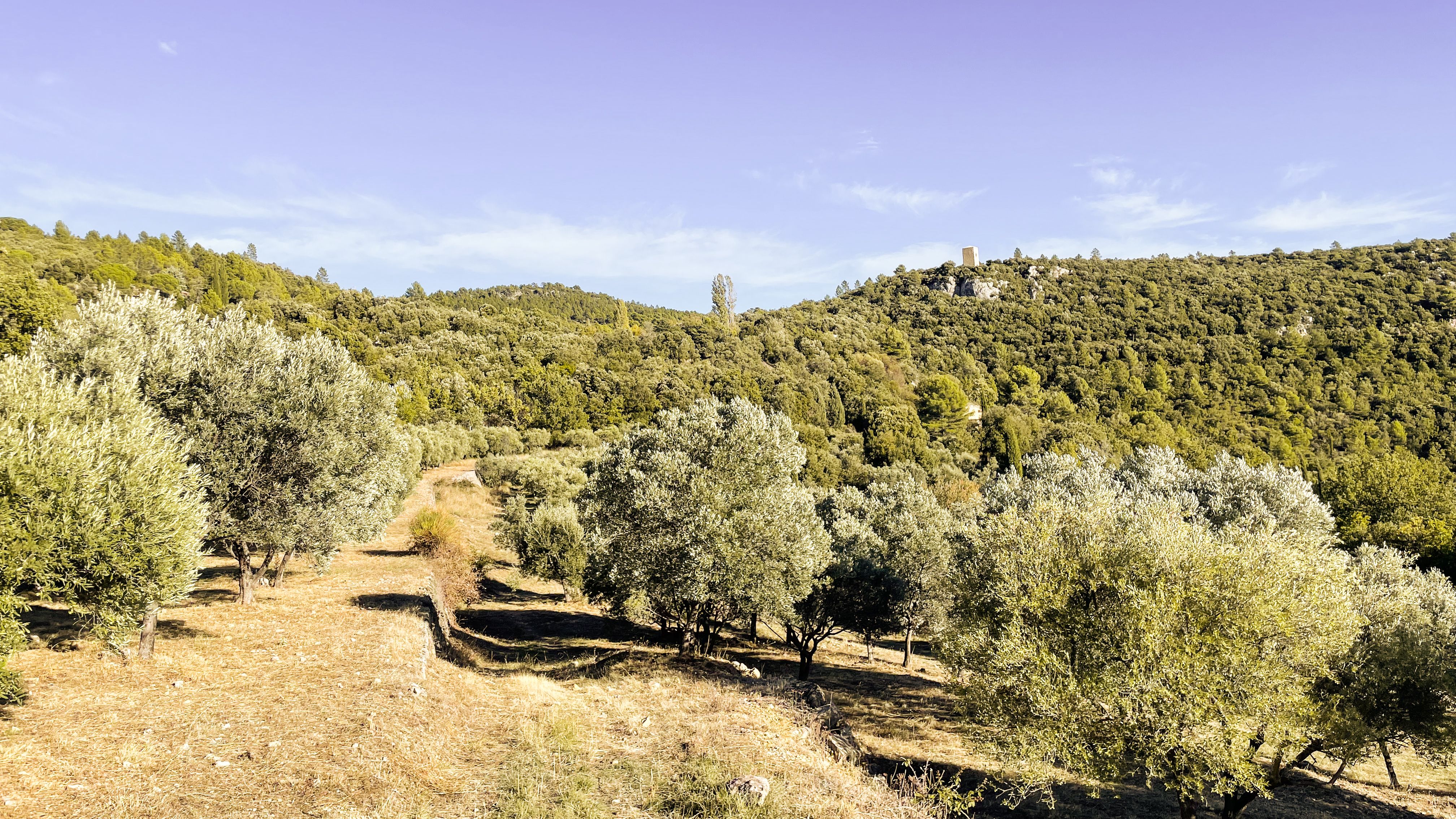 Domaine de la Baume à Tourtour en Provence