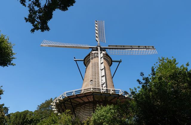 The Molen van Piet windmill above the trees at the edge of Alkmaar city centre on a summer day