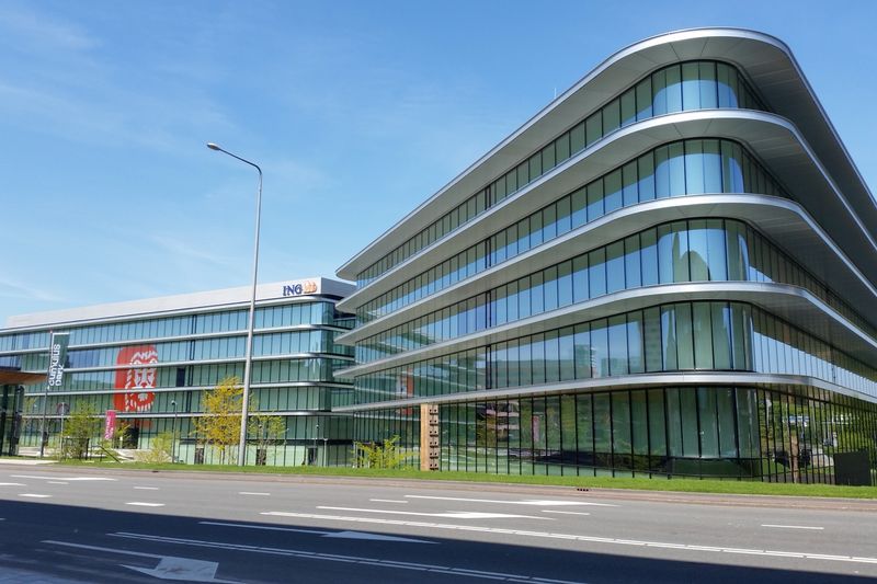 ING - Your Expat Butler partner