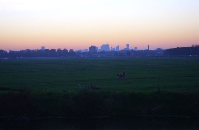High-rise skyline of Zoetermeer at sunset, seen across the rooftops of the city