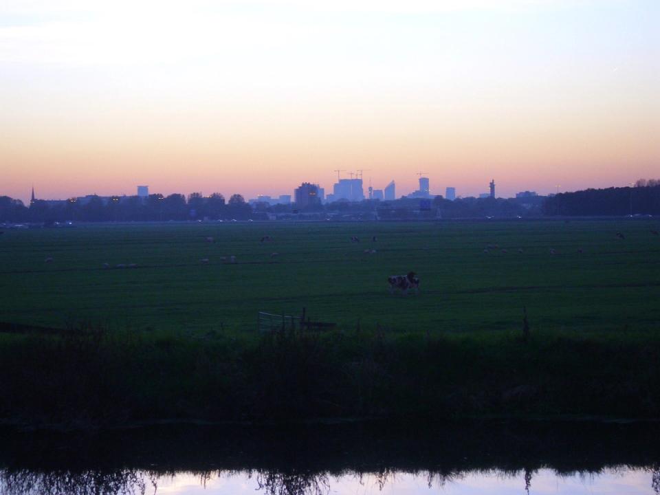 High-rise skyline of Zoetermeer at sunset, seen across the rooftops of the city