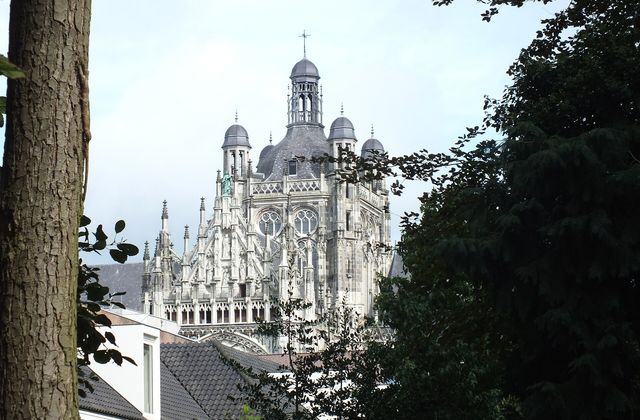 Sint-Janskathedraal rising above the trees in the centre of Den Bosch ('s-Hertogenbosch)