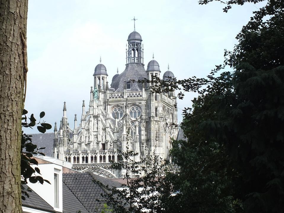 Sint-Janskathedraal rising above the trees in the centre of Den Bosch ('s-Hertogenbosch)