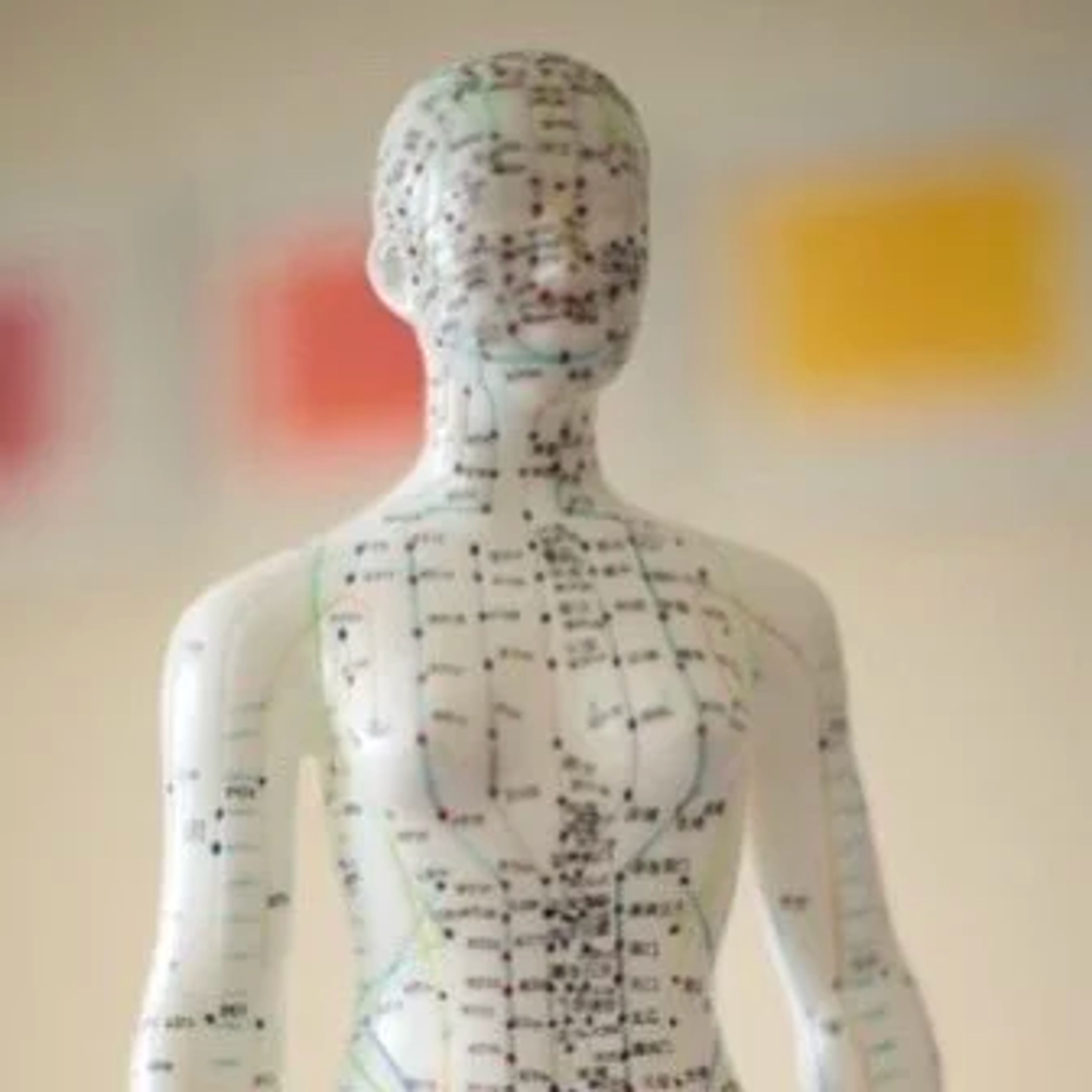 I Meridiani delle emozioni in Medicina Cinese