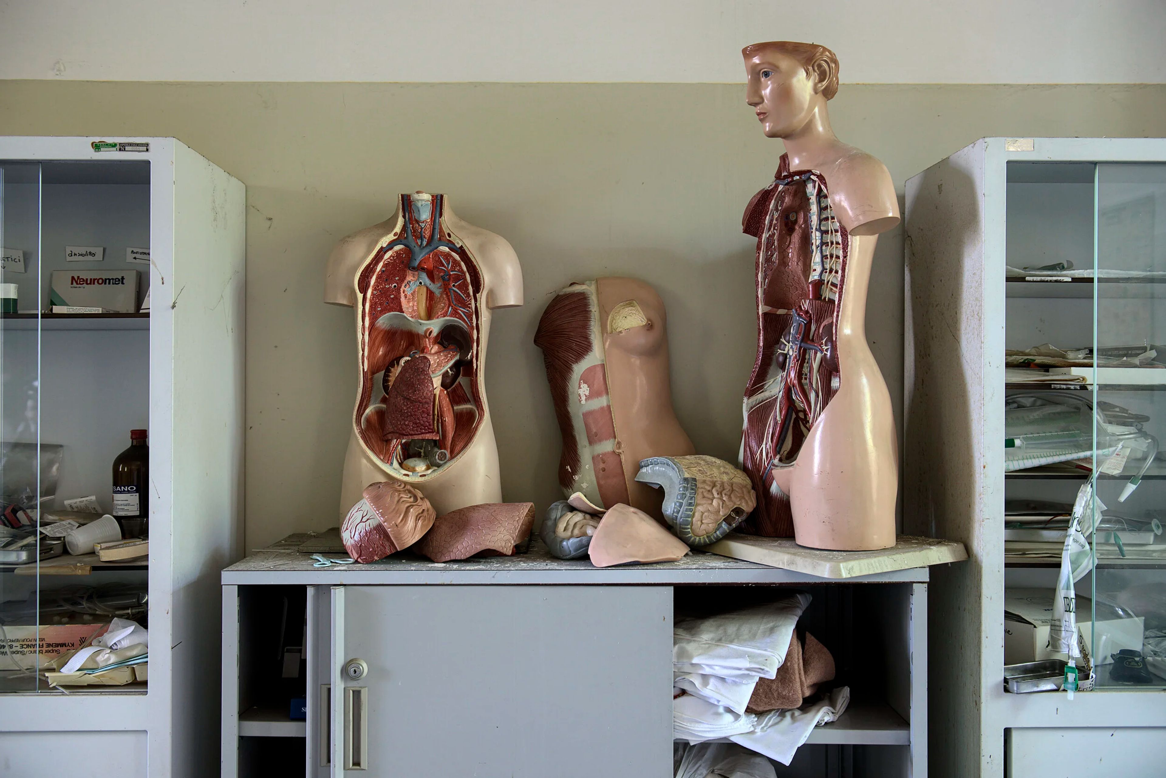 Il Fegato in Medicina Cinese