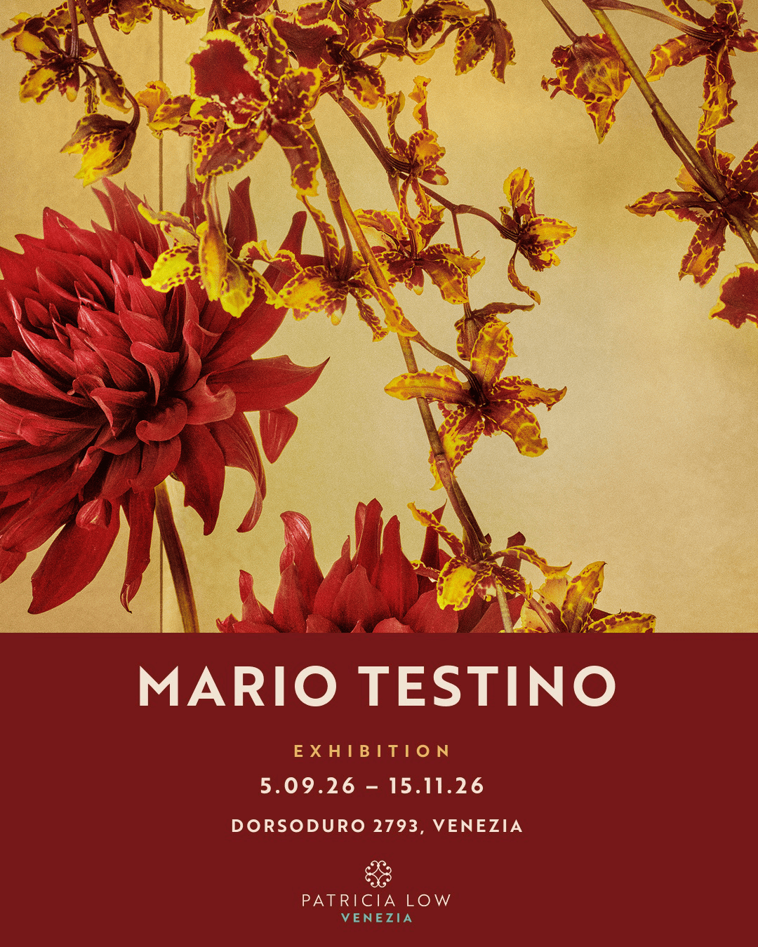 Mario Testino exhibition at Patricia Low Contemporary in Venice, 5 September to 15 November 2026, featuring a floral photograph by Testino.