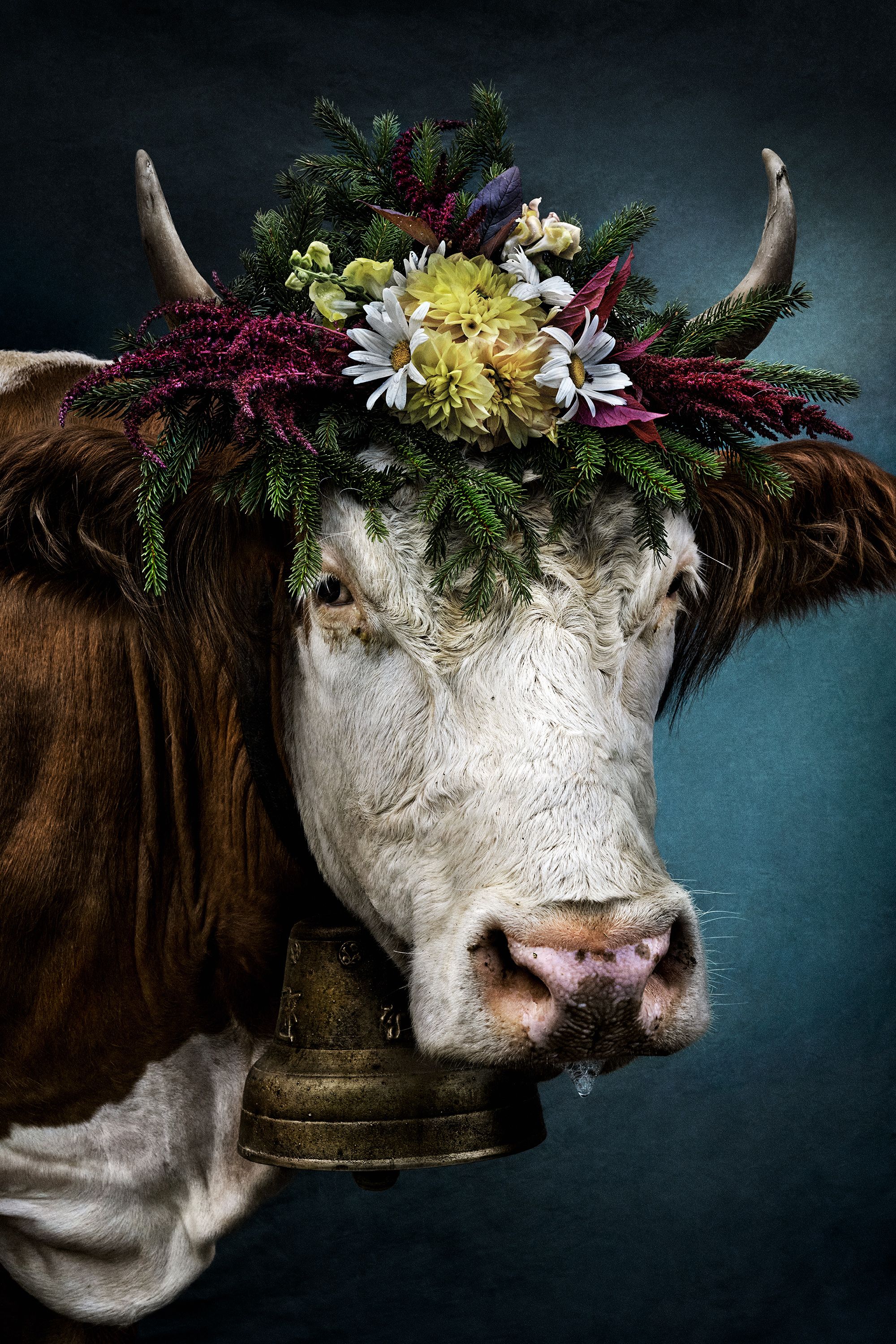 Mario Testino Photography, Artworks & Exhibitions | Mario Testino