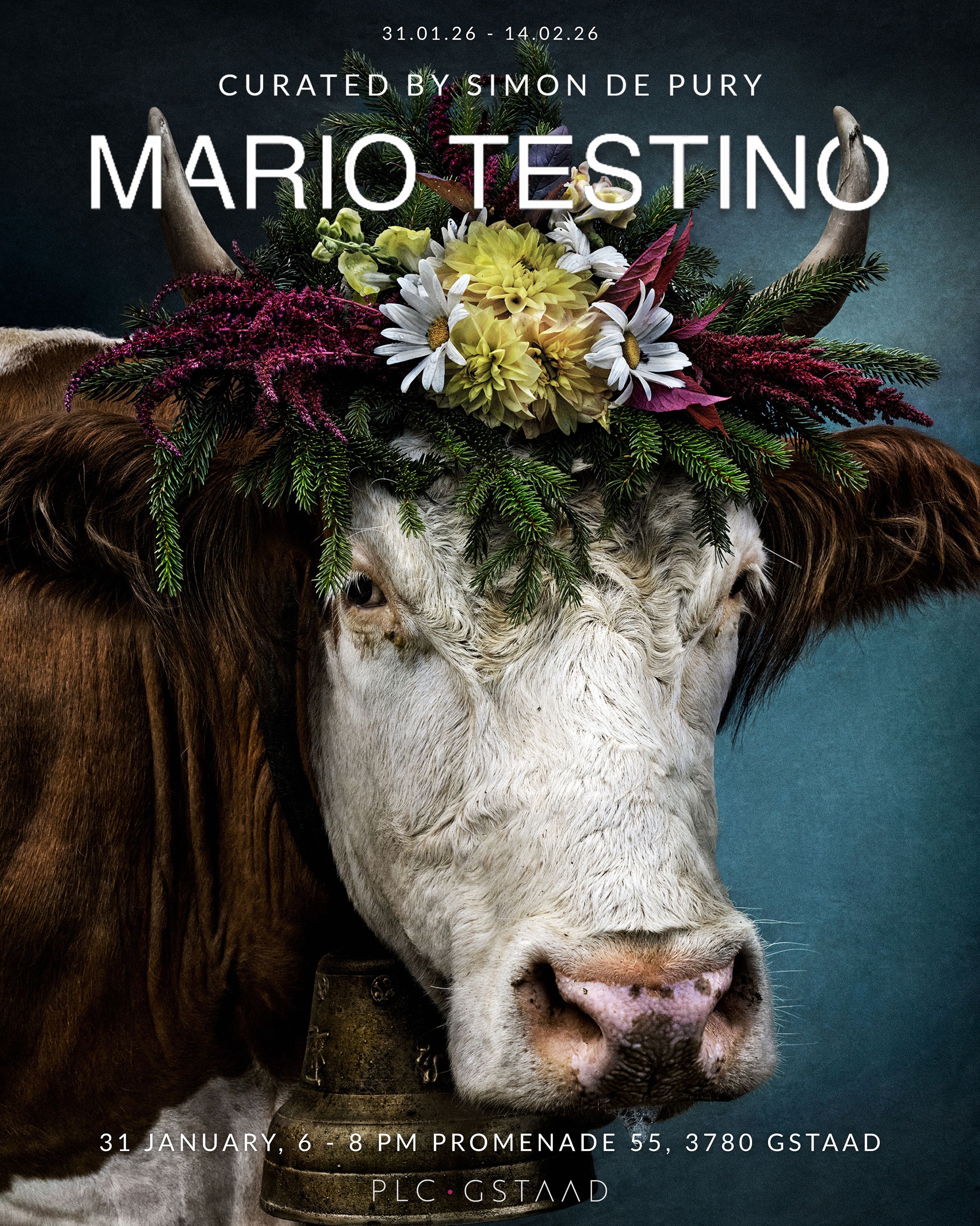 Mario Testino