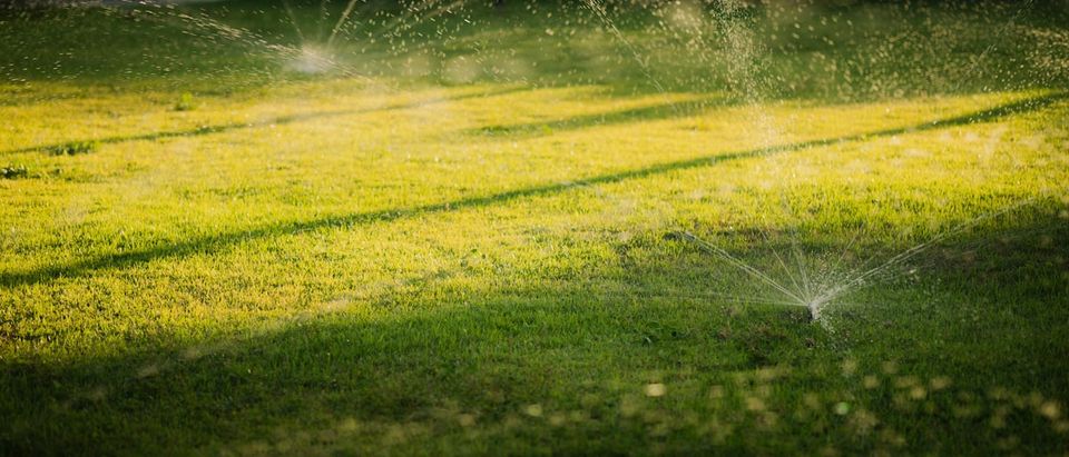 Sprinkler system maintenance log showing seasonal startup and winterization entries