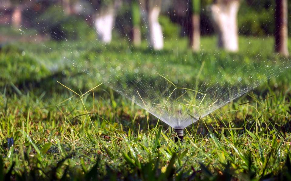 Outdoor irrigation system being audited as part of a summer home maintenance checklist