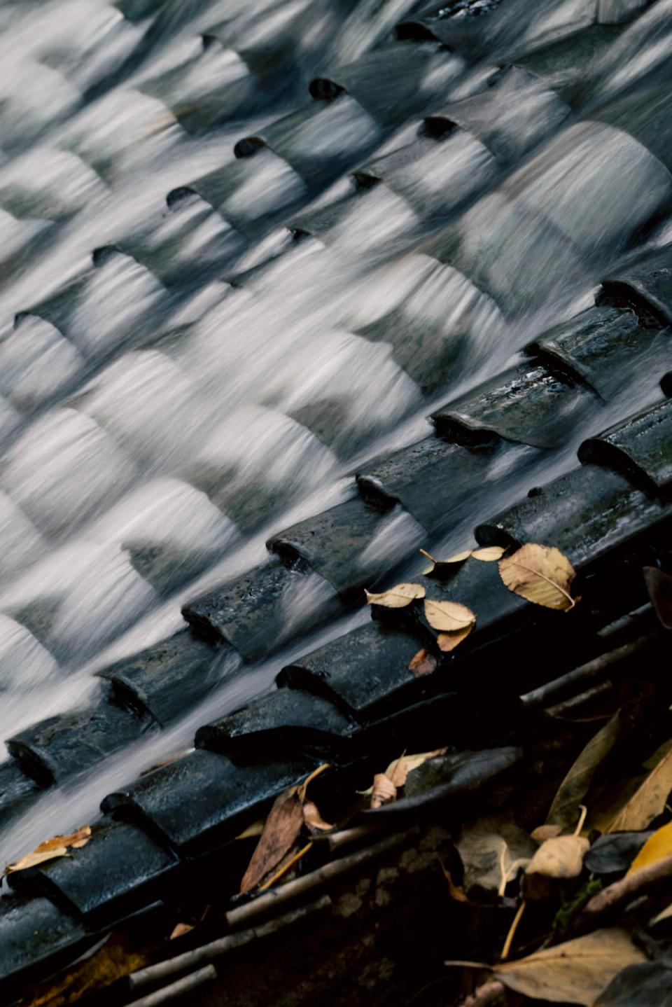 Autumn leaves and water in a residential roof gutter during fall maintenance season