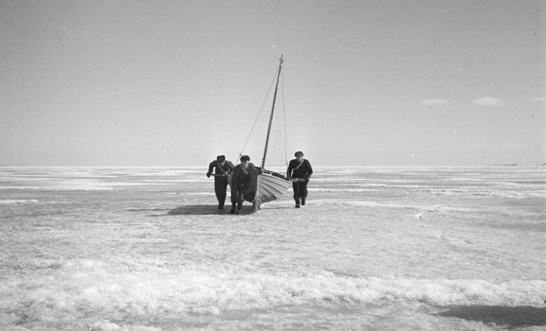 Декоративная иллюстрация (Koristeellinen kuvitus)