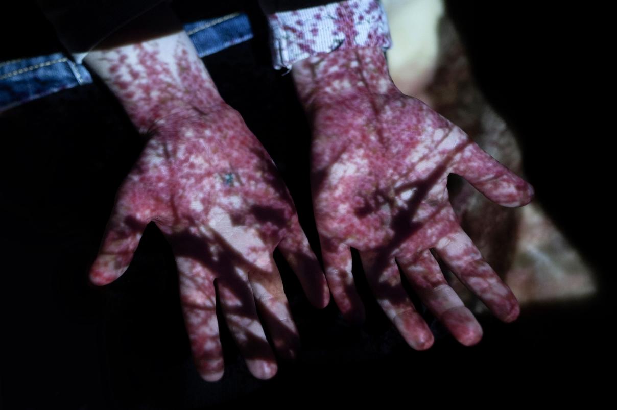 Руки, на которые проецируется изображение цветущего дерева (Kädet, joille heijastuu kuva kukkivasta puusta)